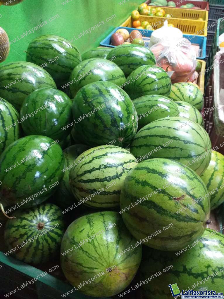 Sandia baby