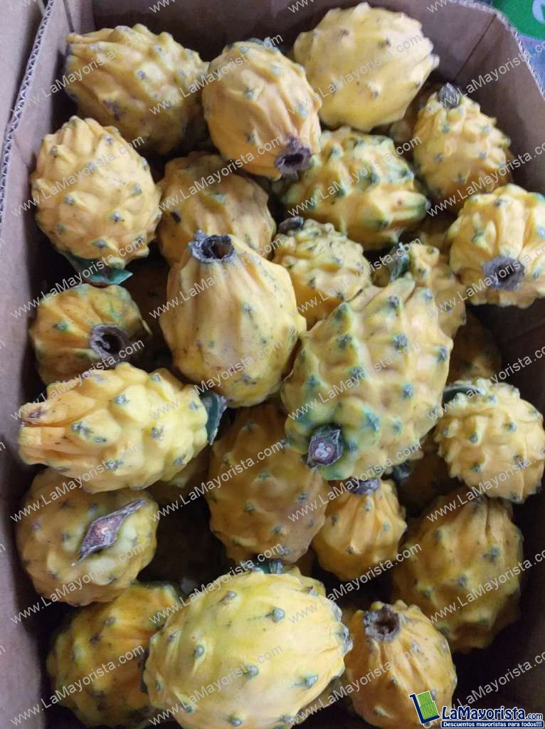 Pitaya