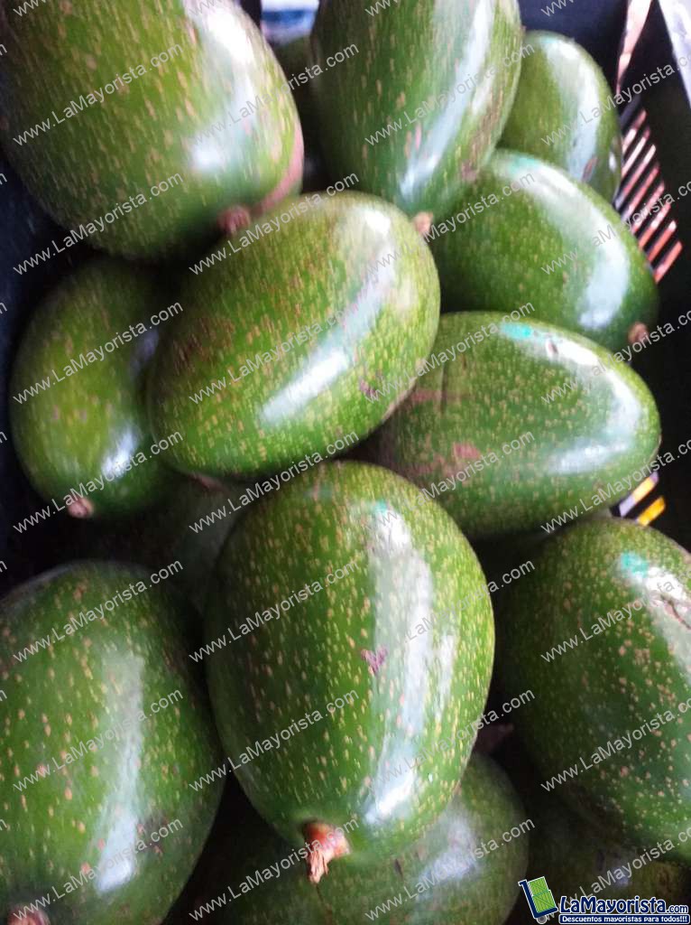 Aguacate choquette