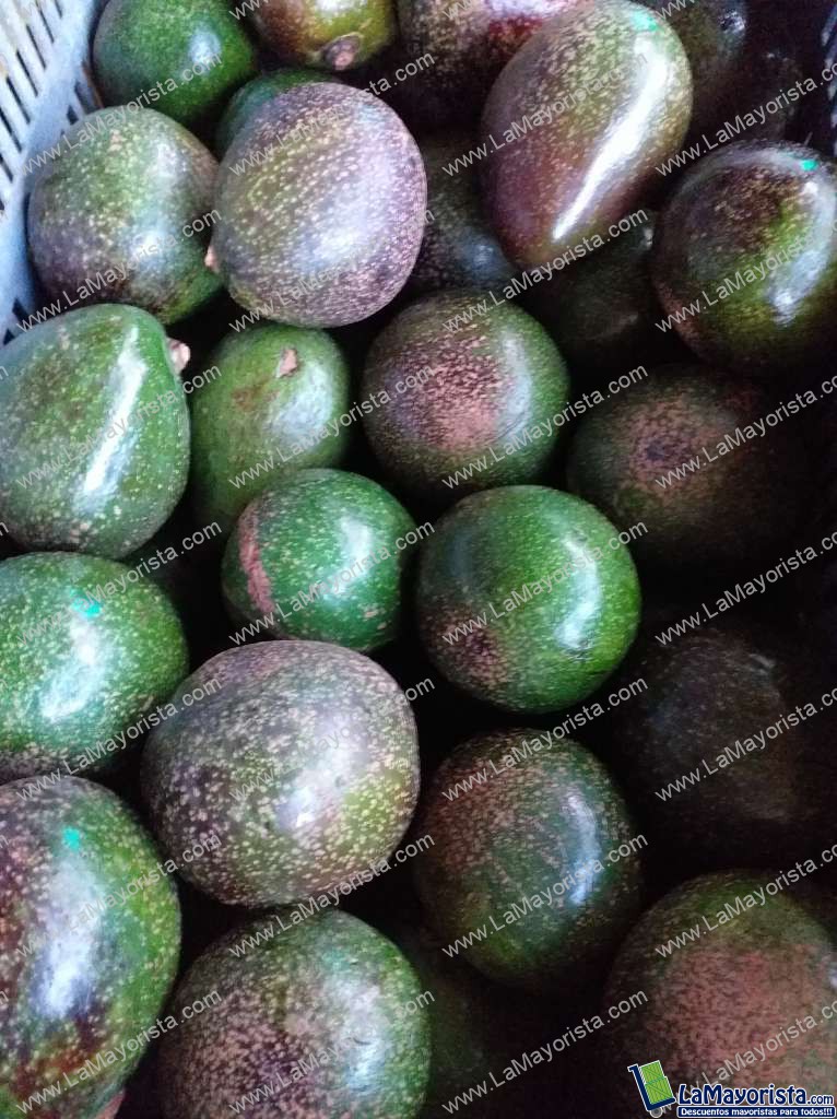 Aguacate collin