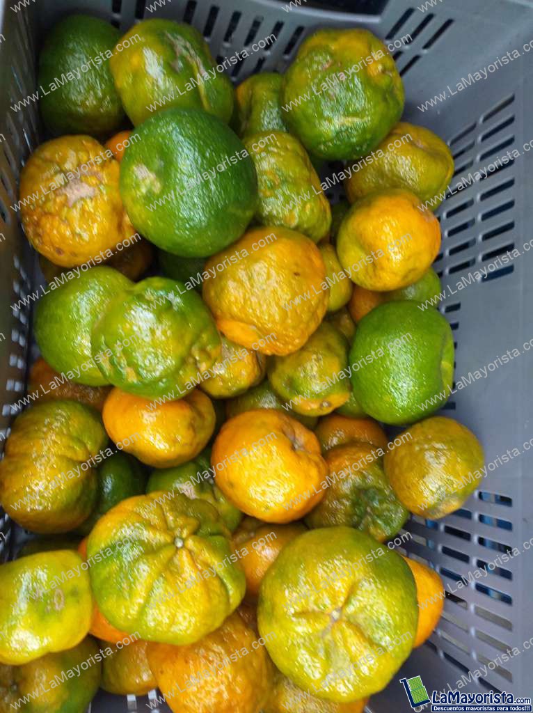 Mandarina oneca