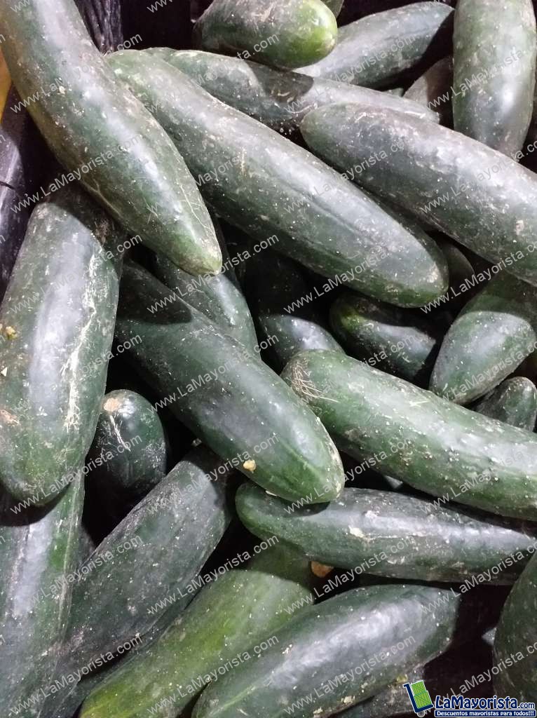 Pepino cohombro