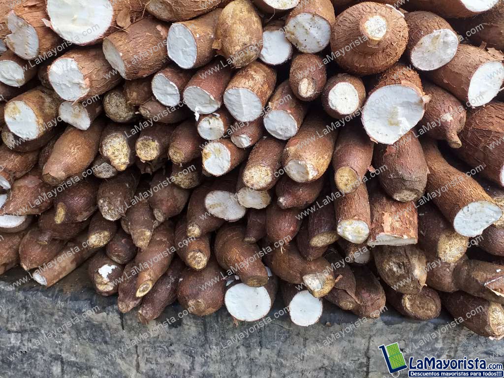 Yuca suelta