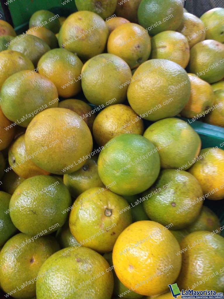 Naranja valencia