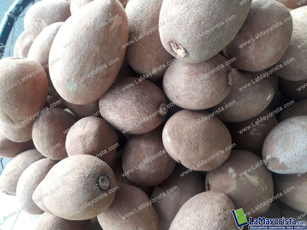 Zapote criollo