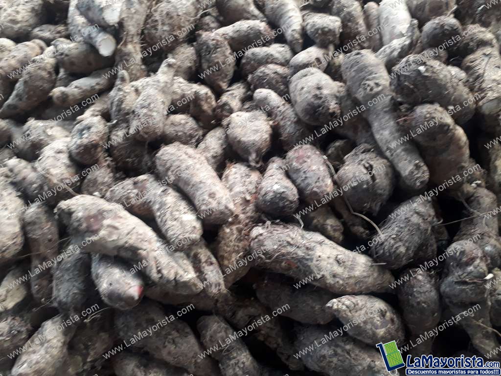 Malanga