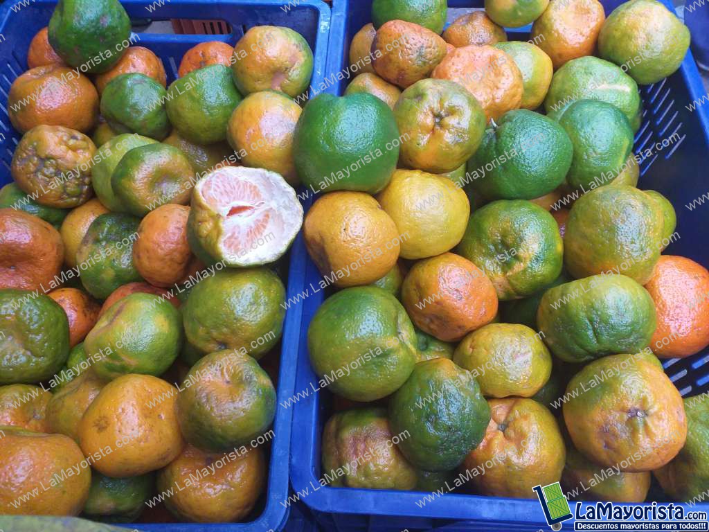 Mandarina oneca