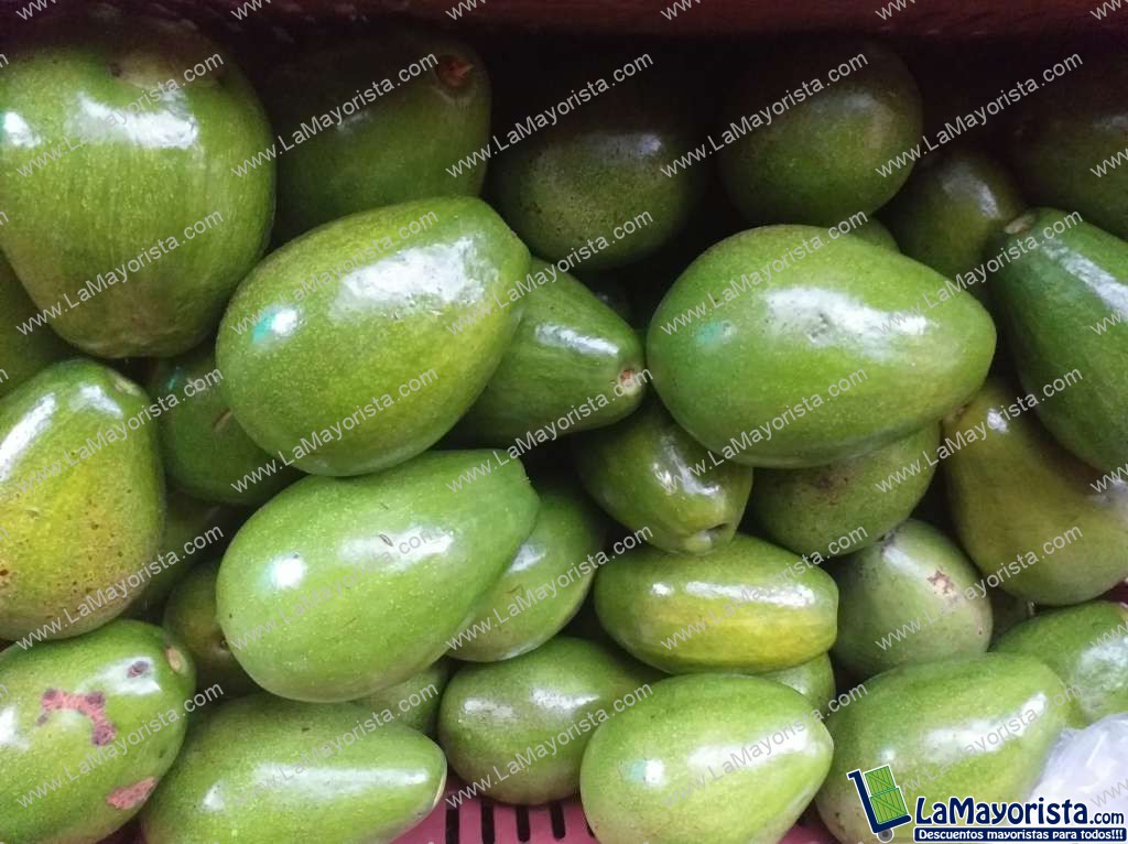 Aguacate papelillo