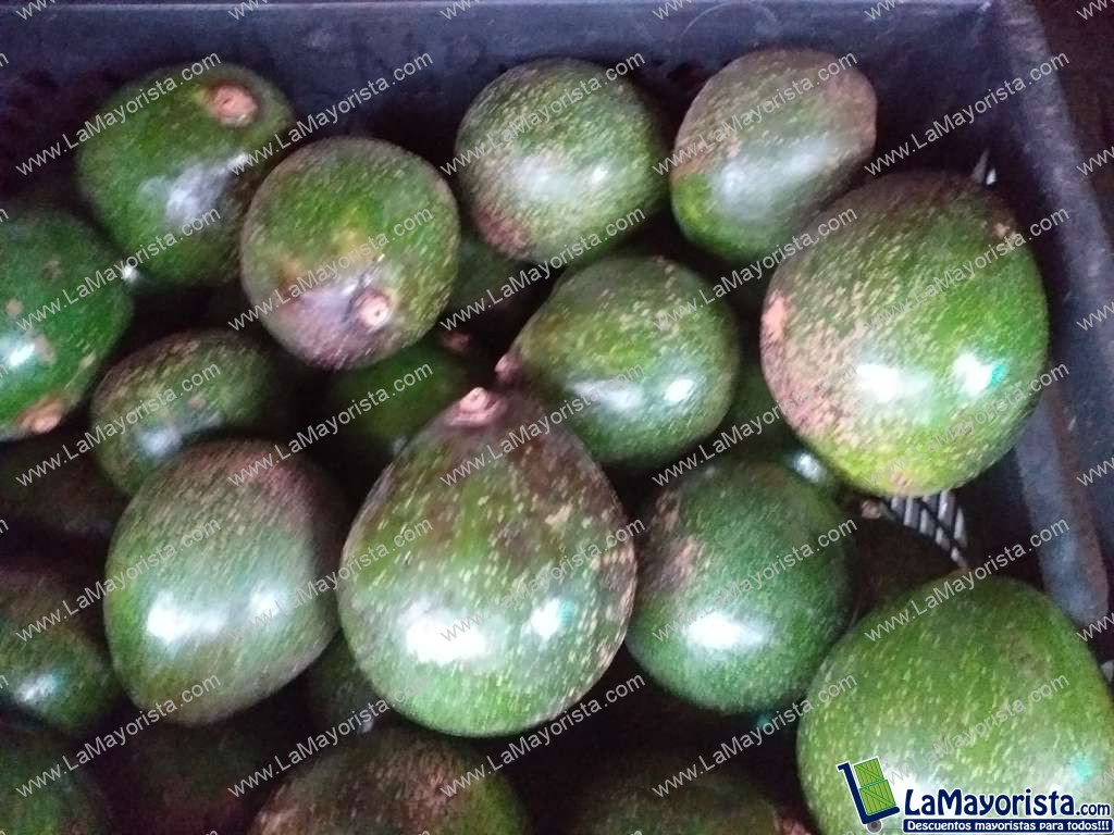Aguacate collin
