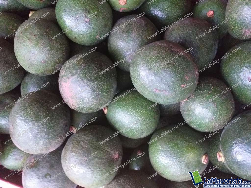 Aguacate reeds