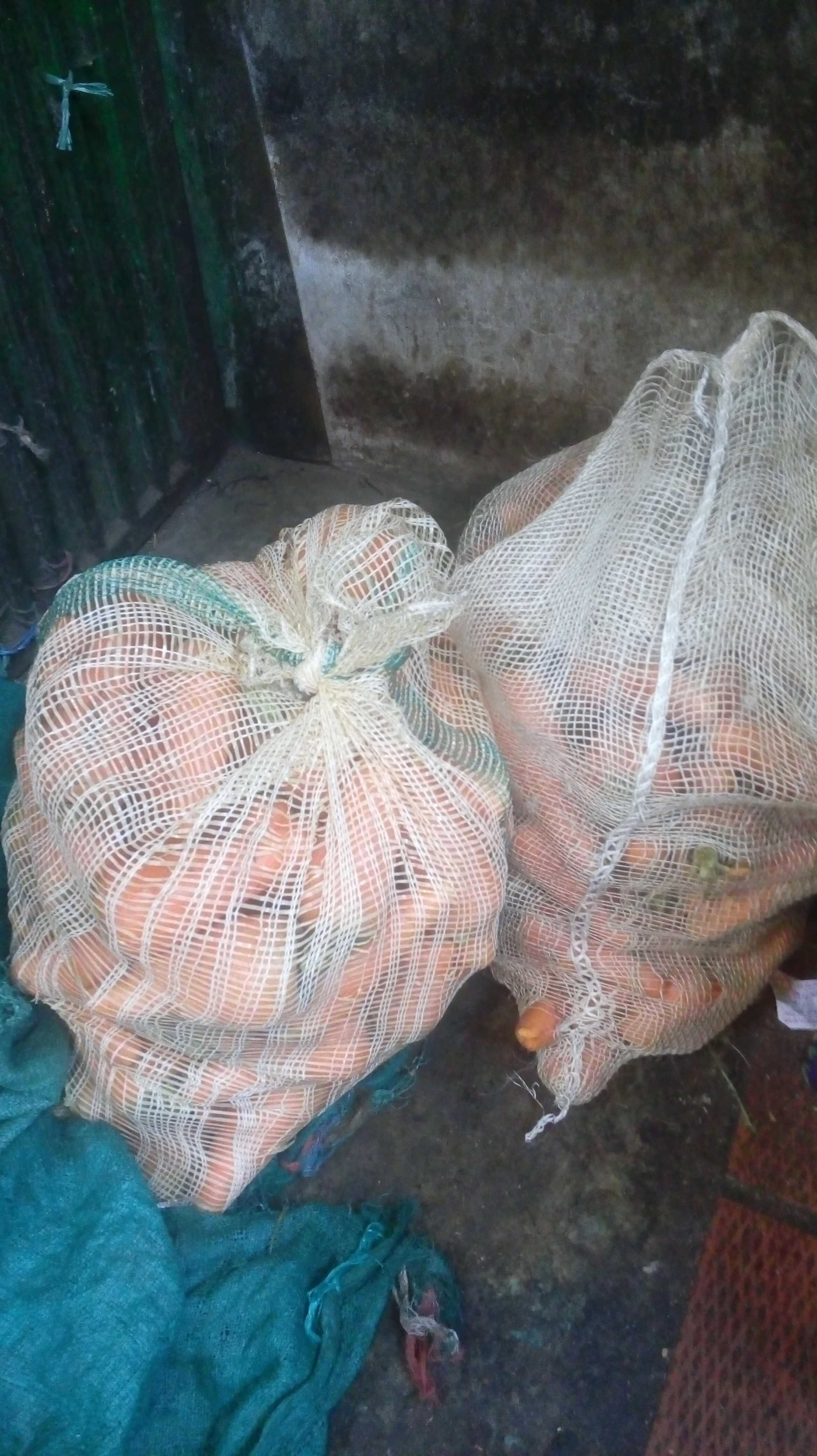 Zanahorias para restaurante