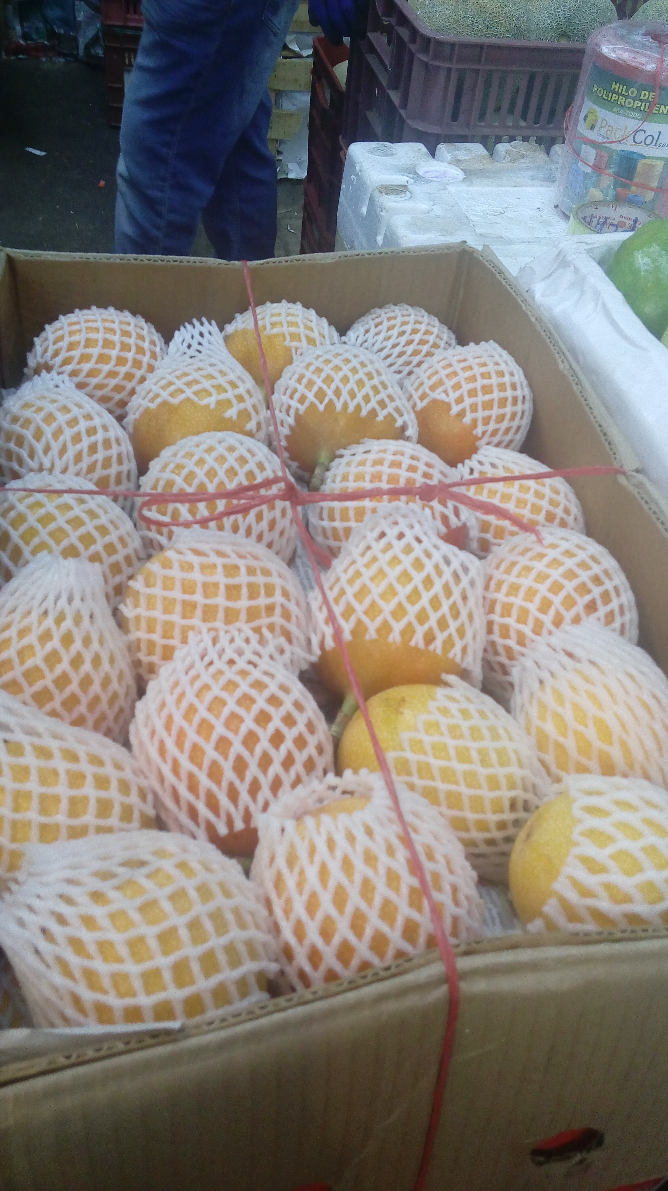 Granadilla