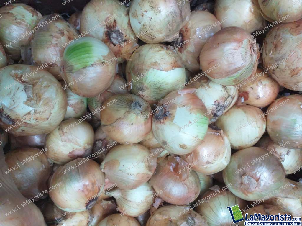 Cebolla huevo blanca