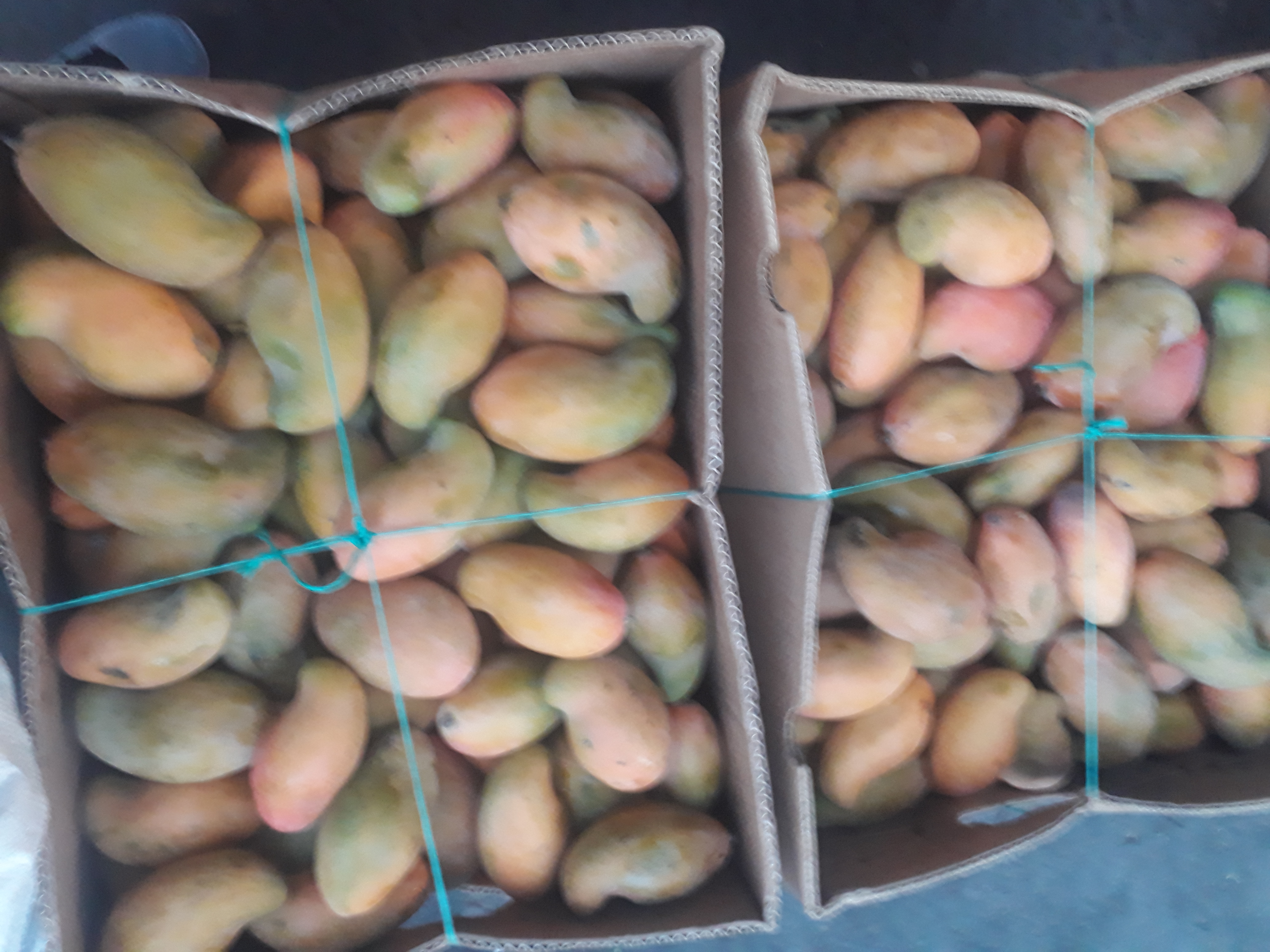 Mango de chupa