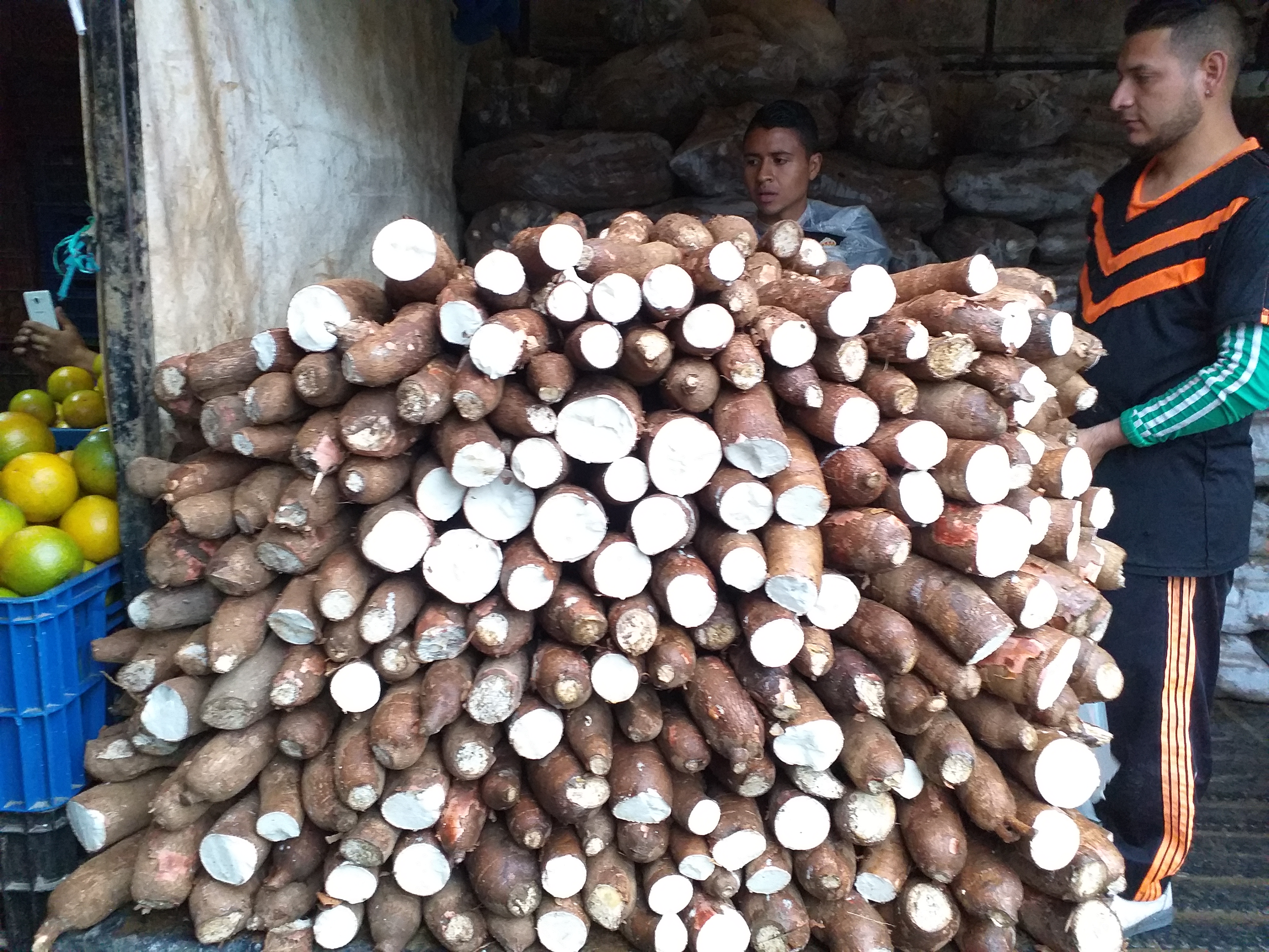 Yuca suelta