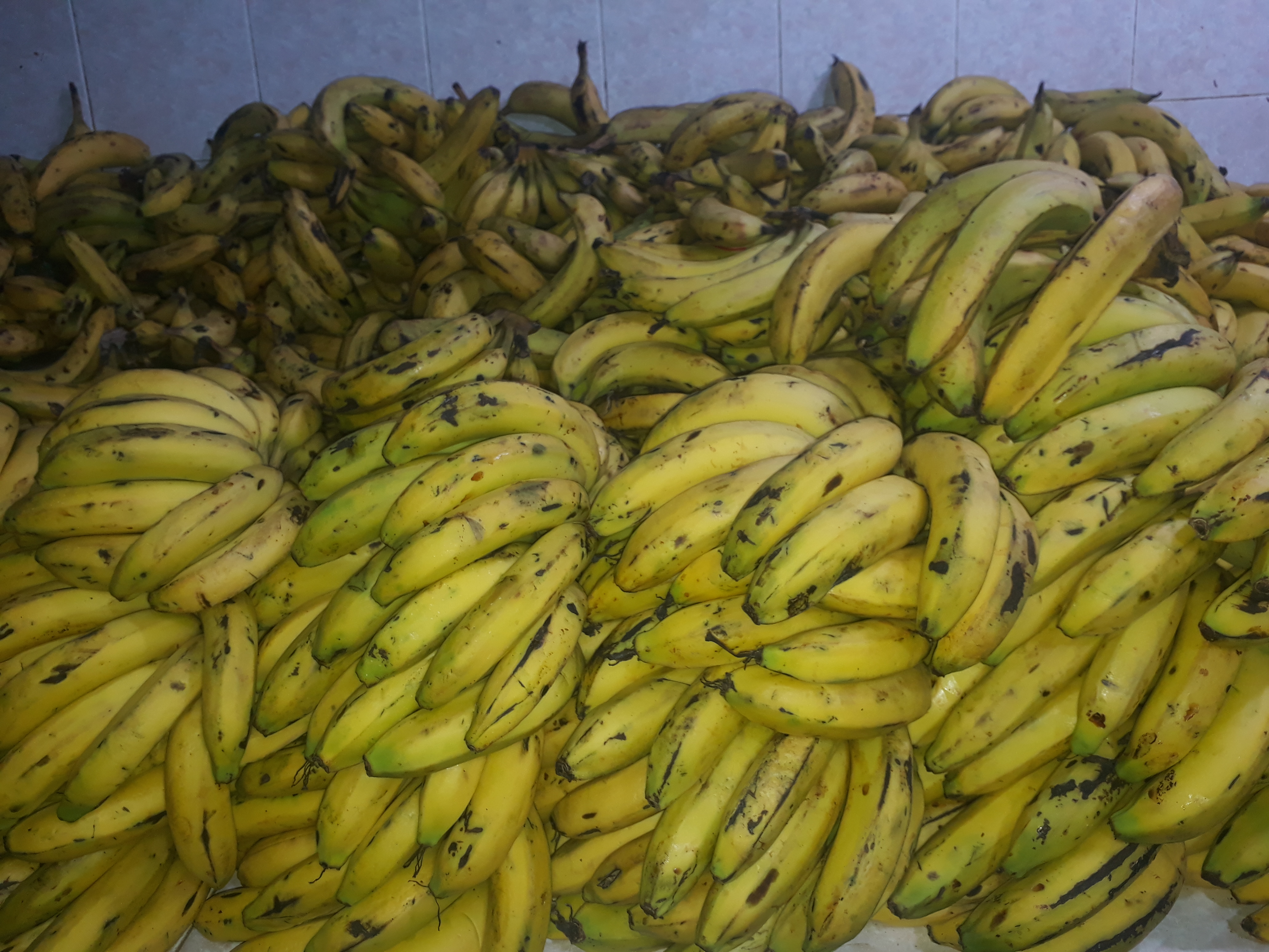 Banano maduro