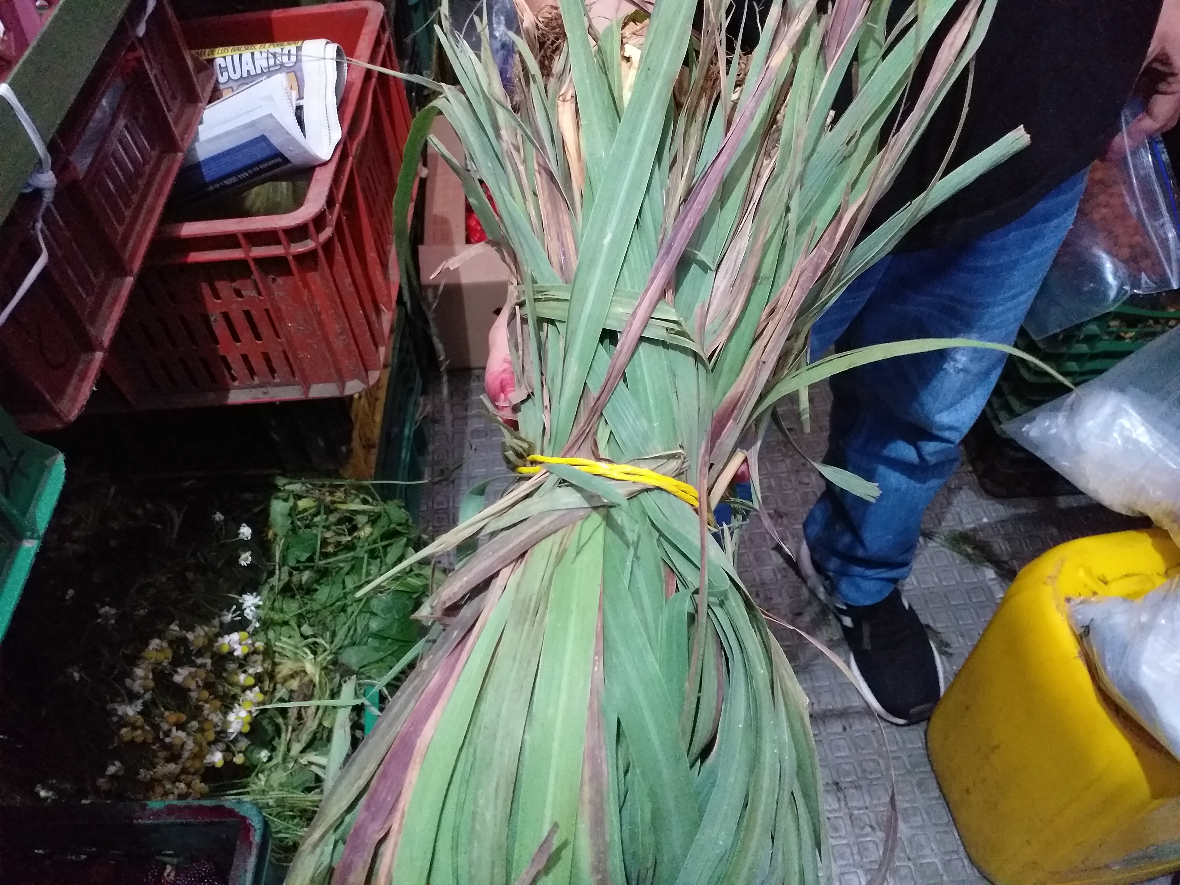 Hierba de limon