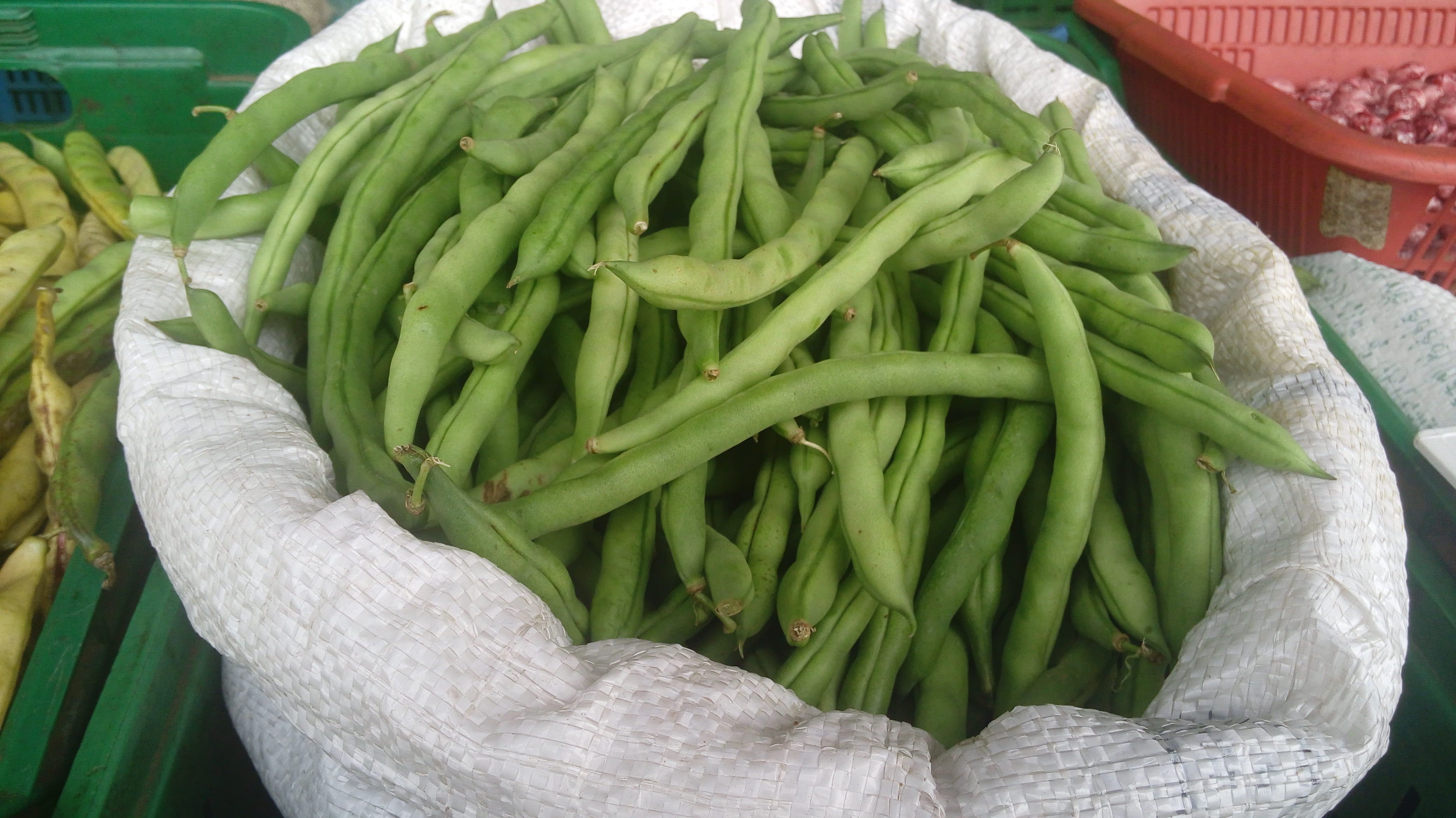 Habichuelas