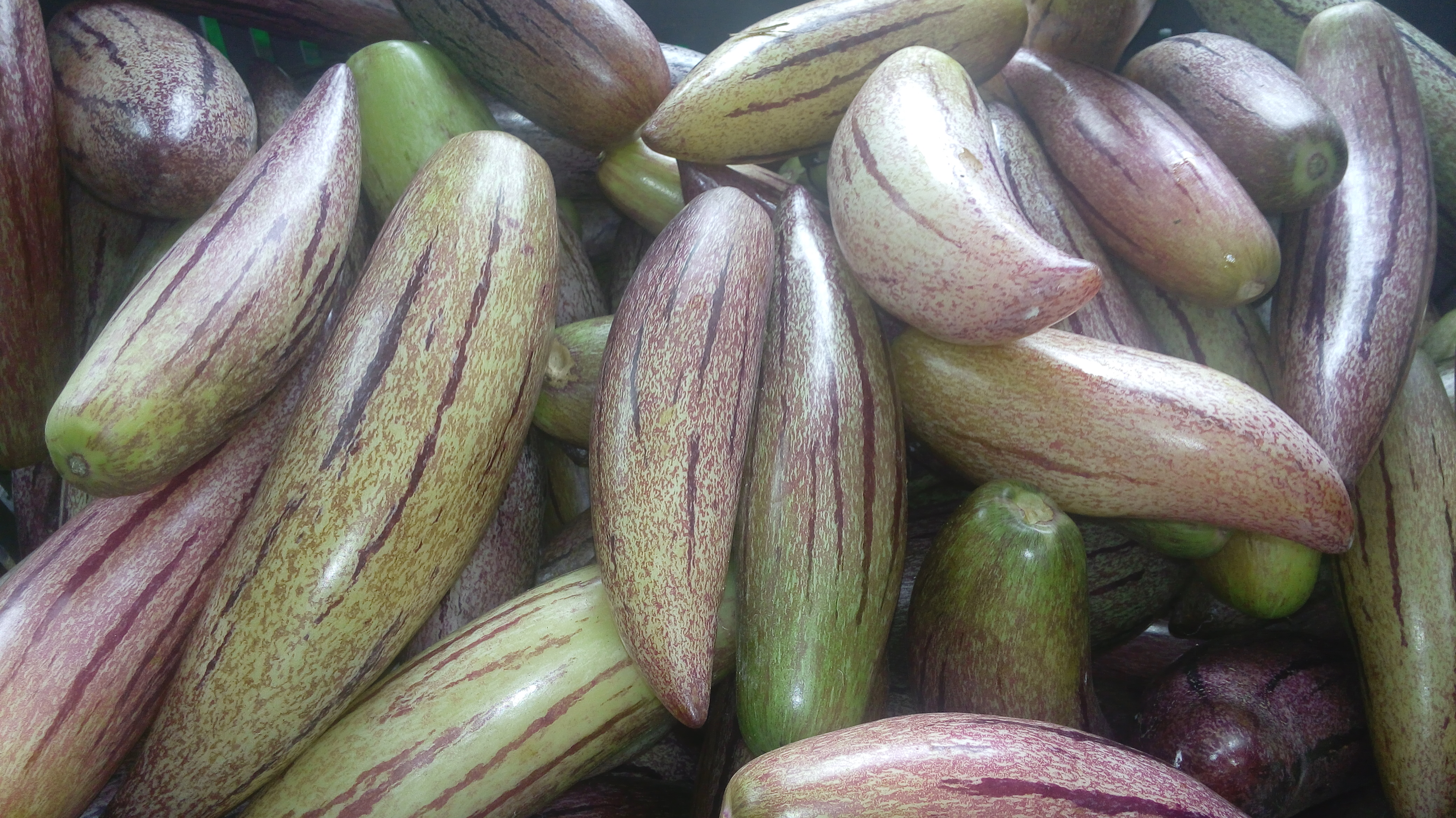 Pepinos dulces