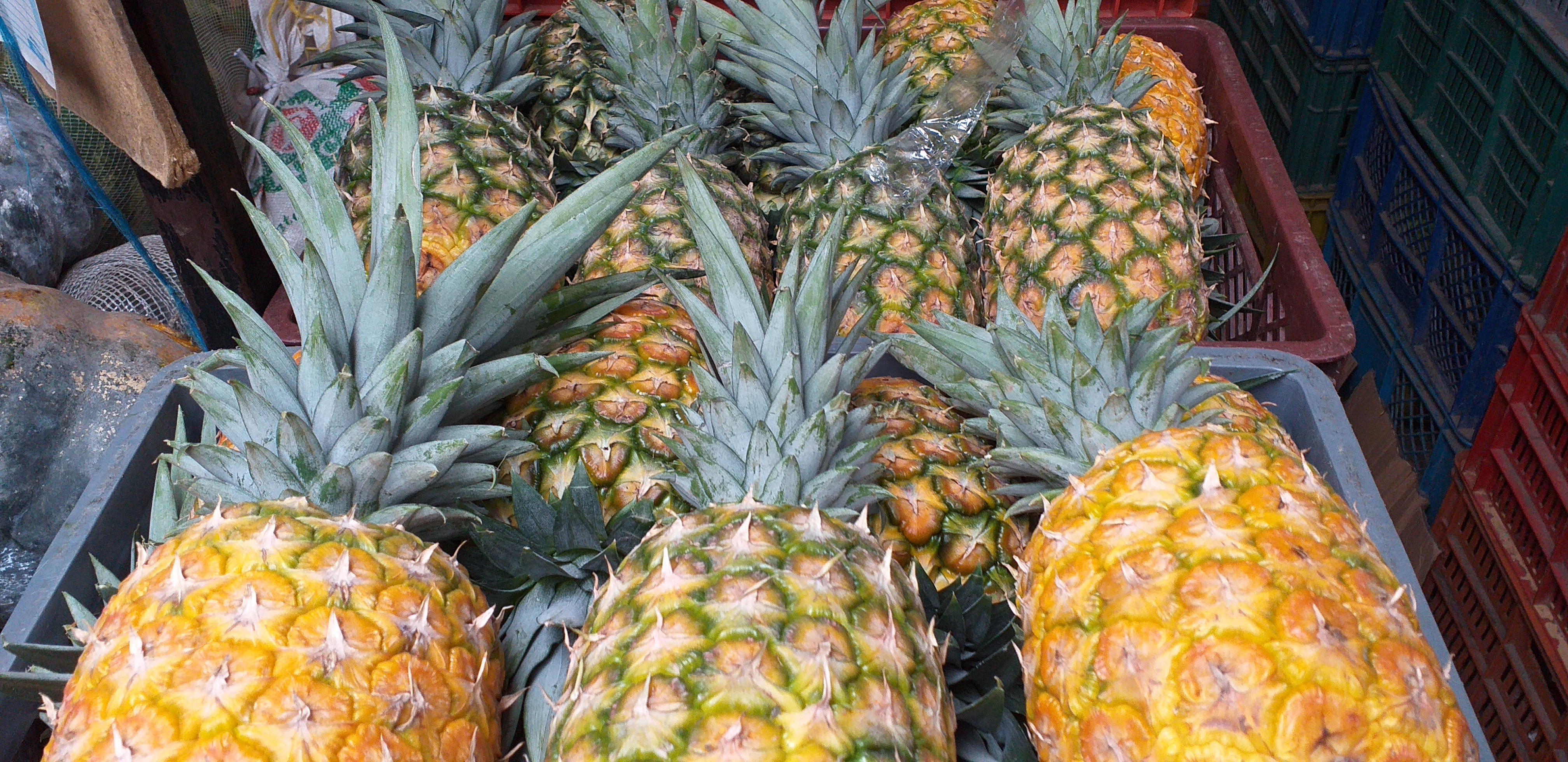 Piña oromiel