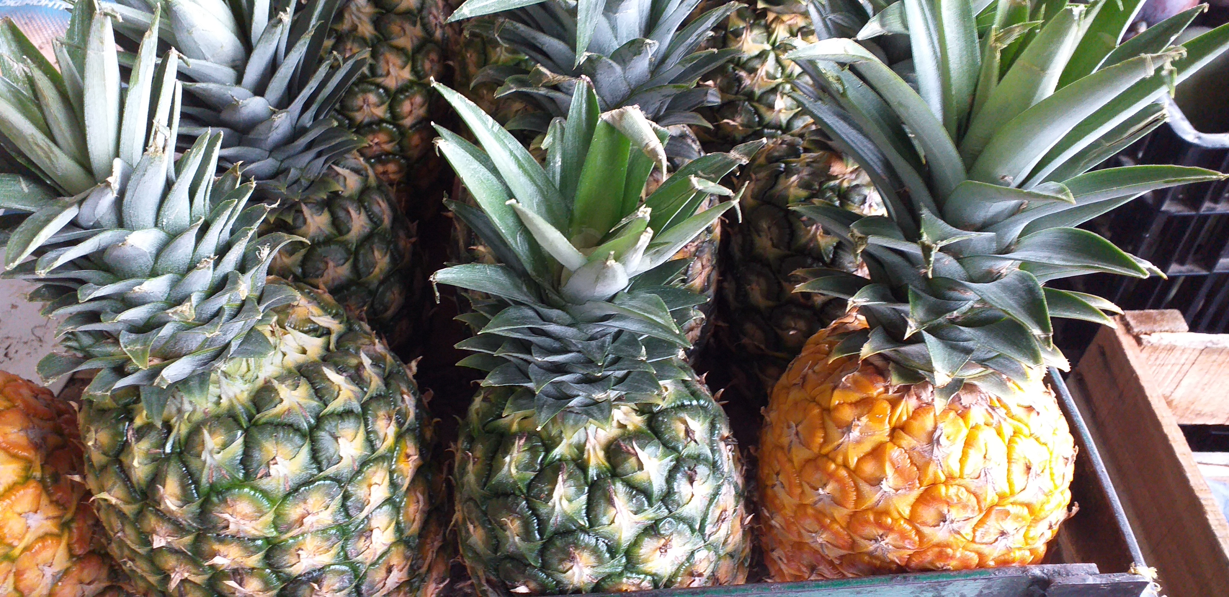 Piña oromiel