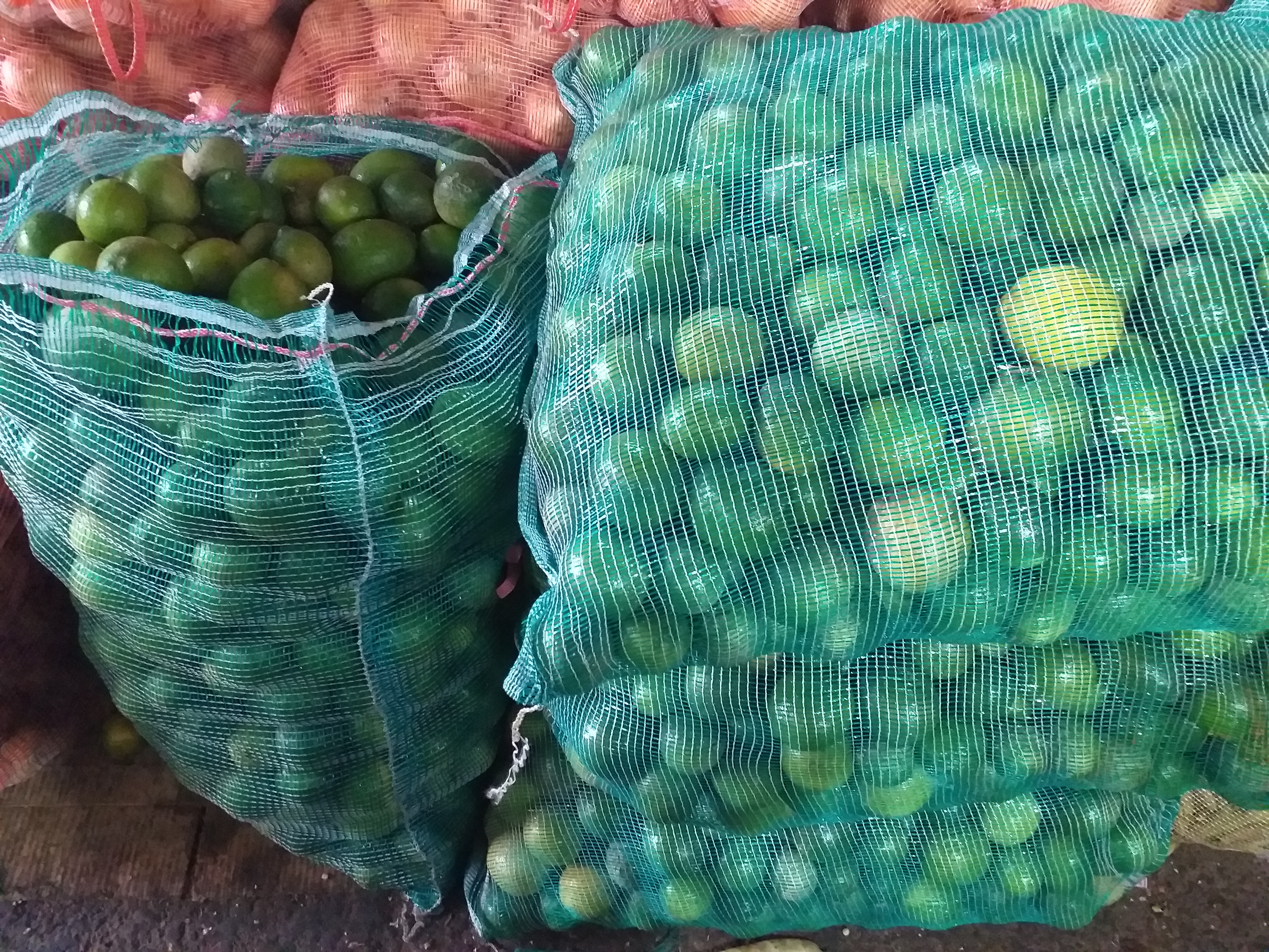 Limon tahiti