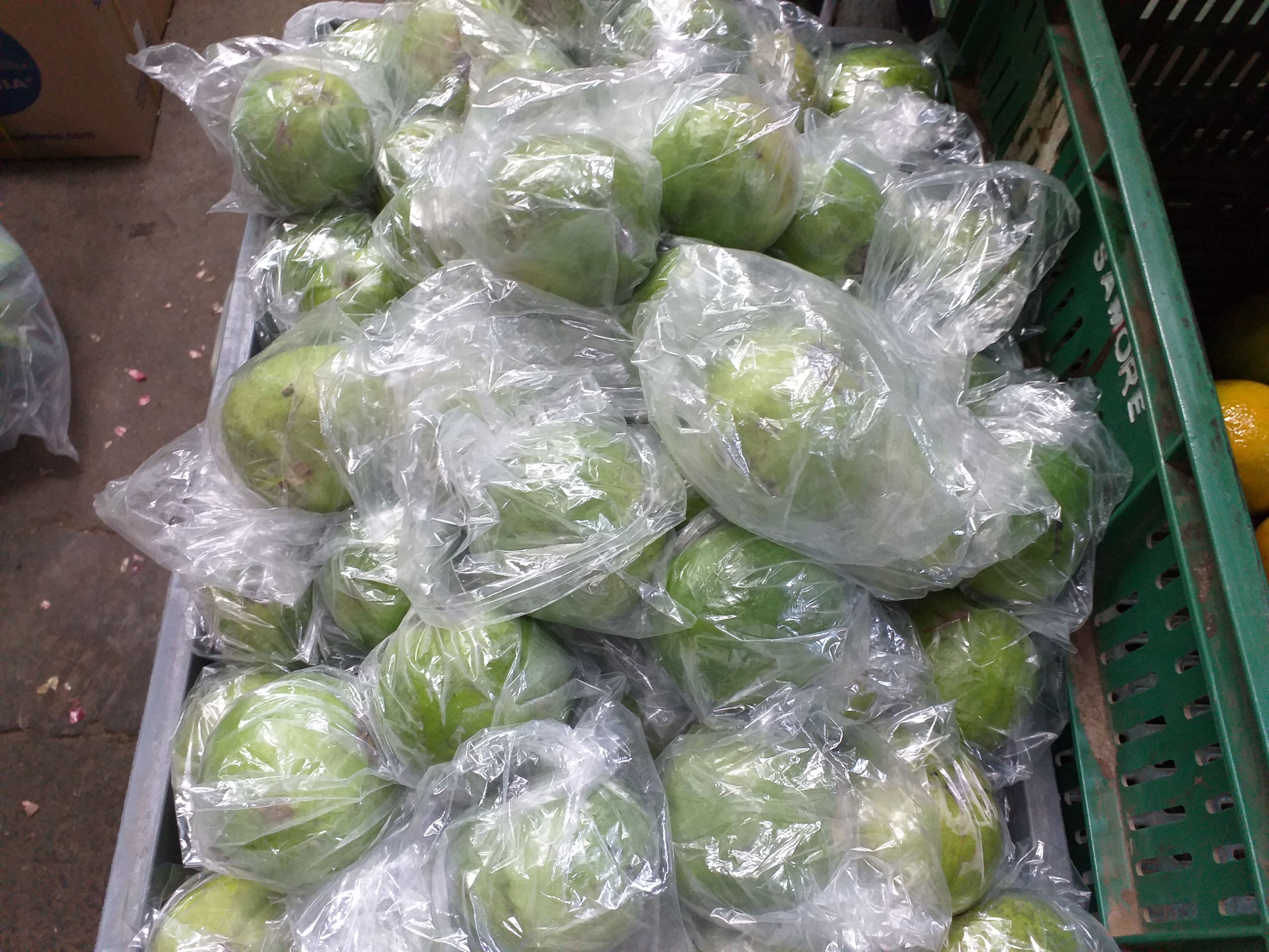 Guayaba manzana