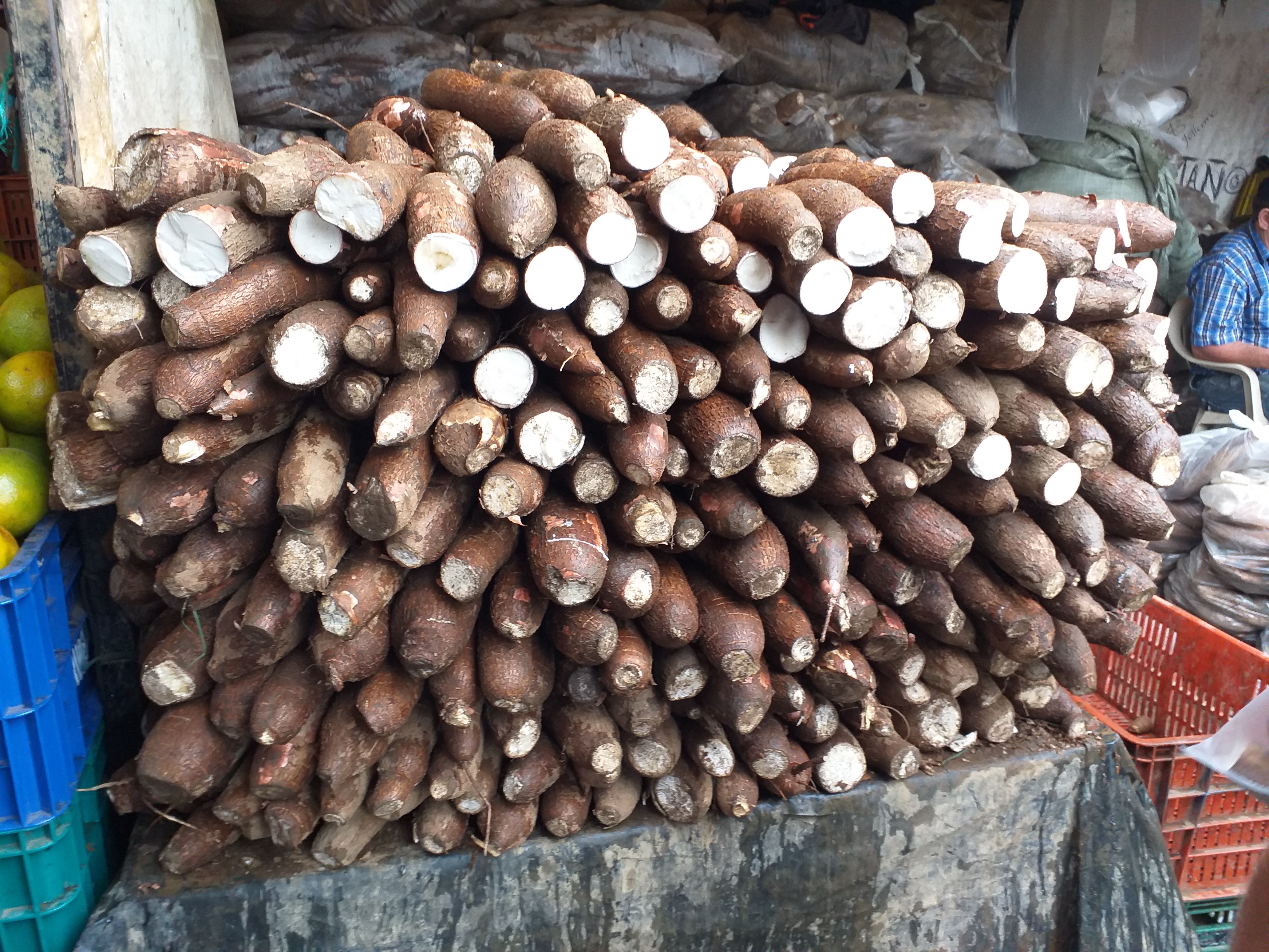 Yuca suelta