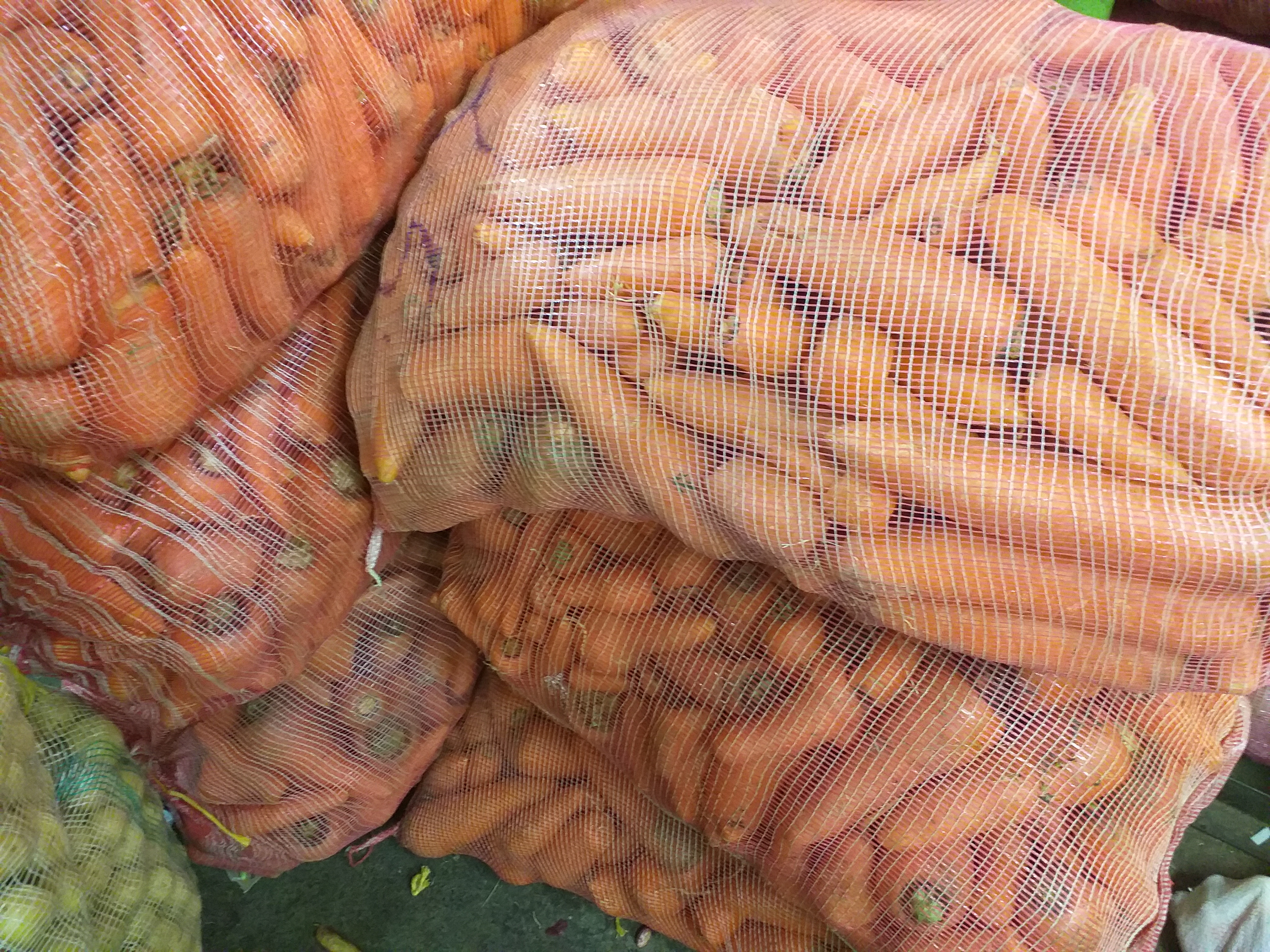 Zanahoria tipo negocio