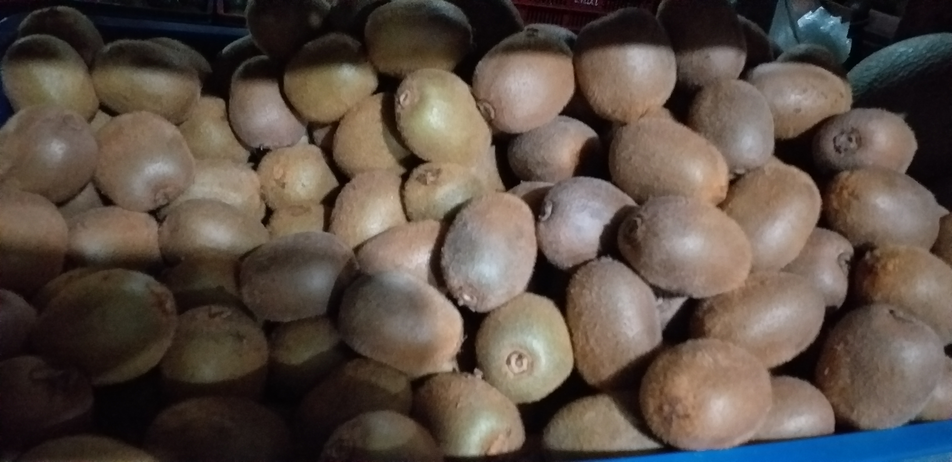 Kiwi