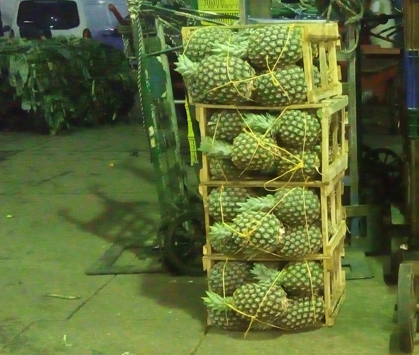 Piña