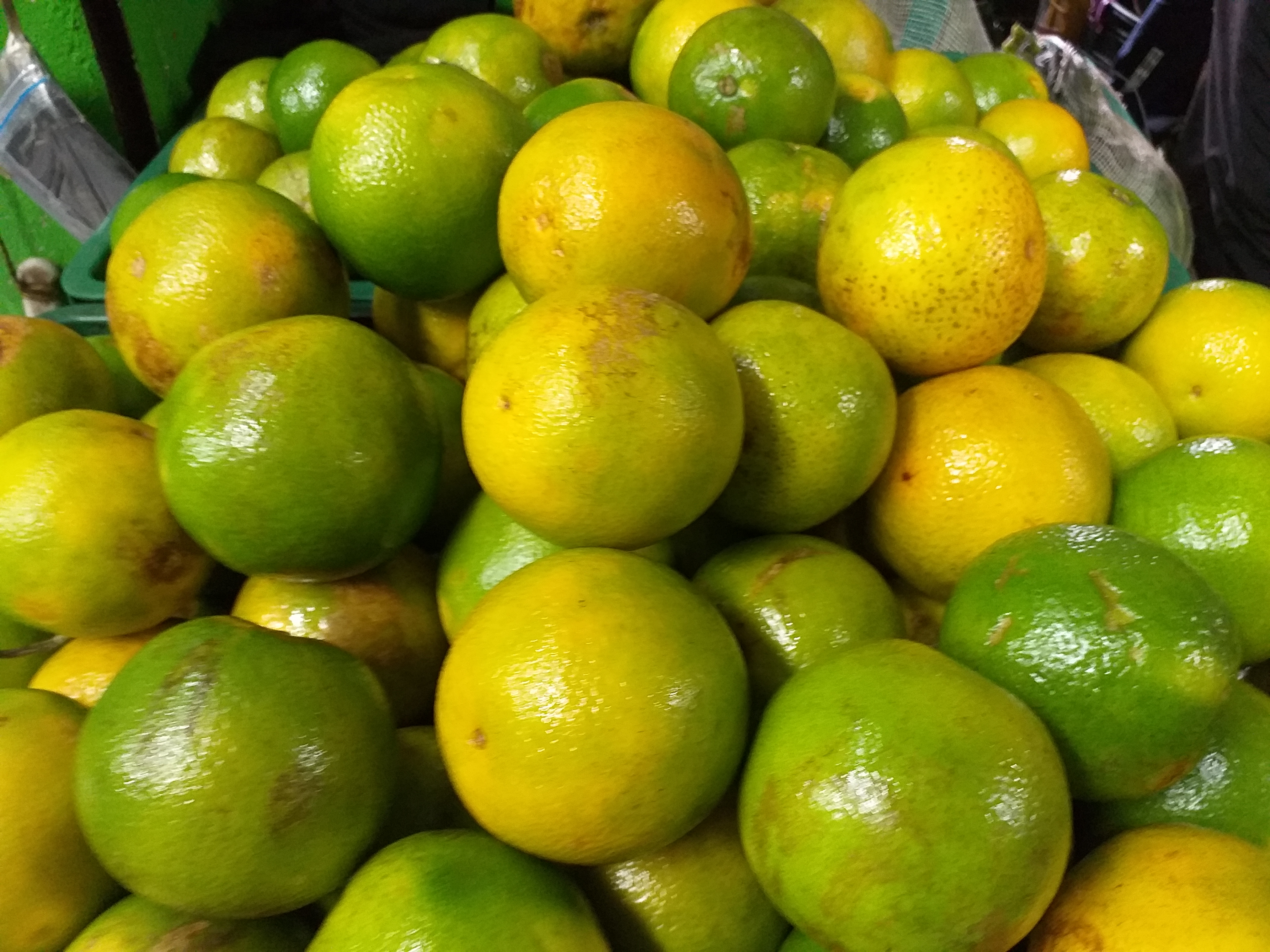 Naranja valencia