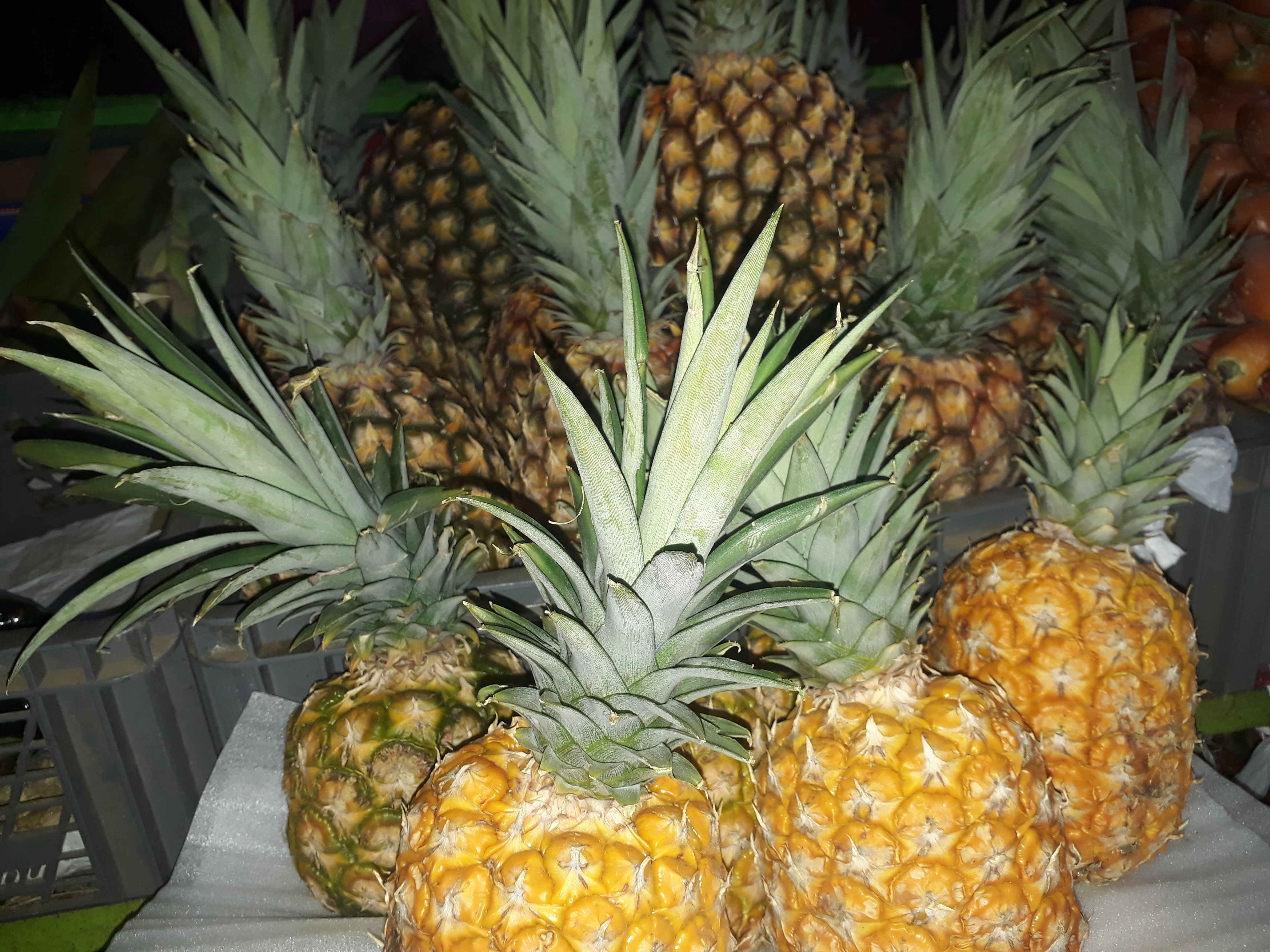 Piña grande