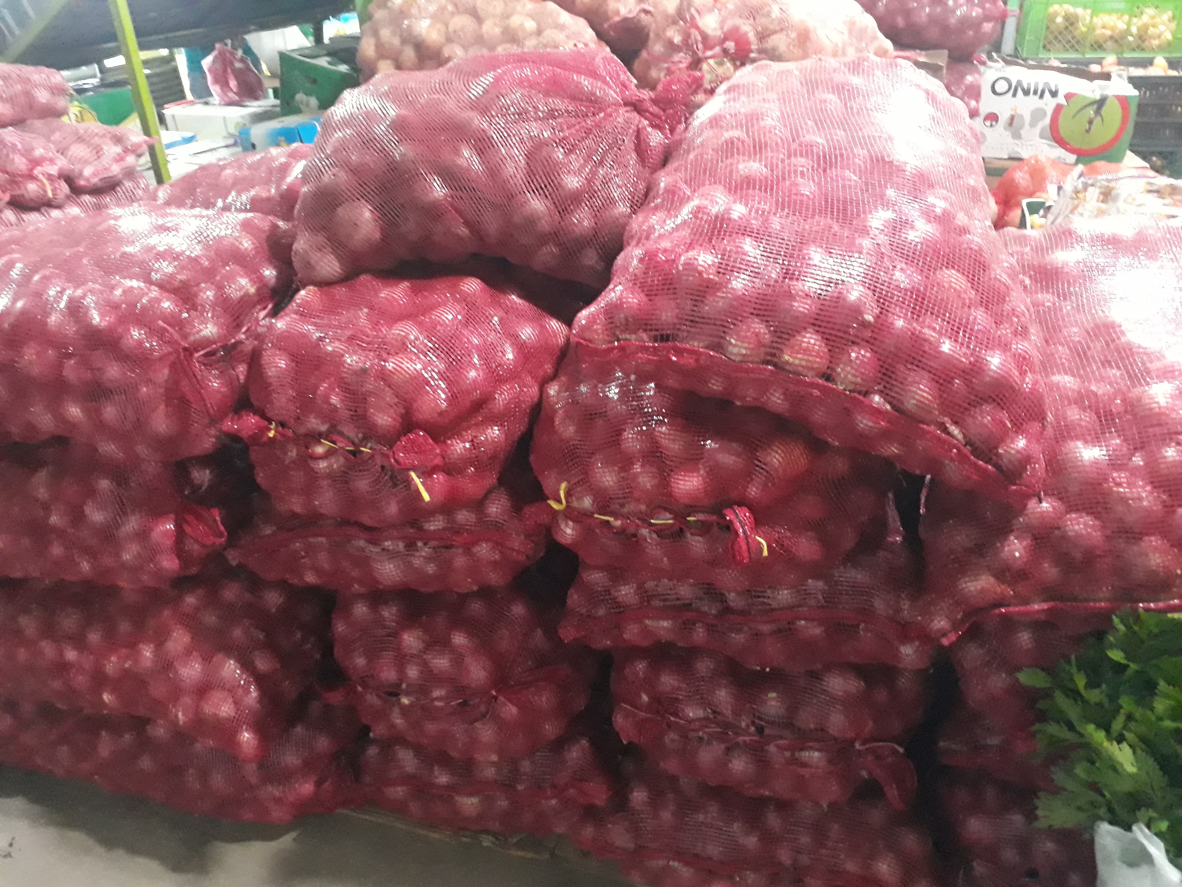 Vebolla roja gruesa