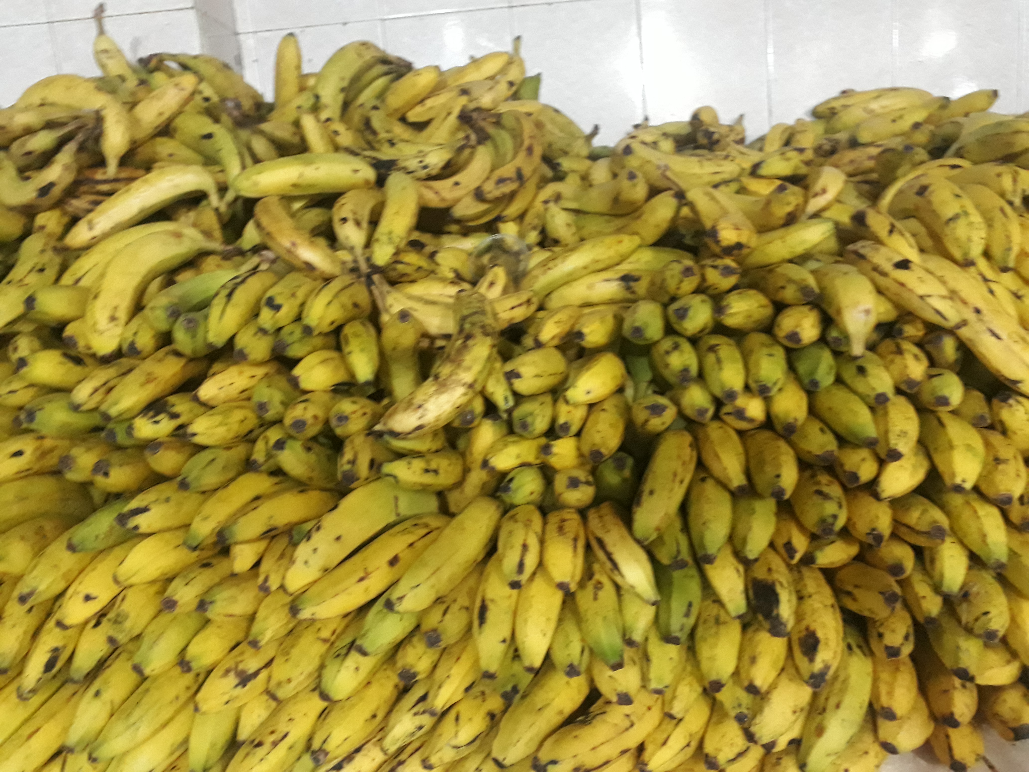 Banano madudo