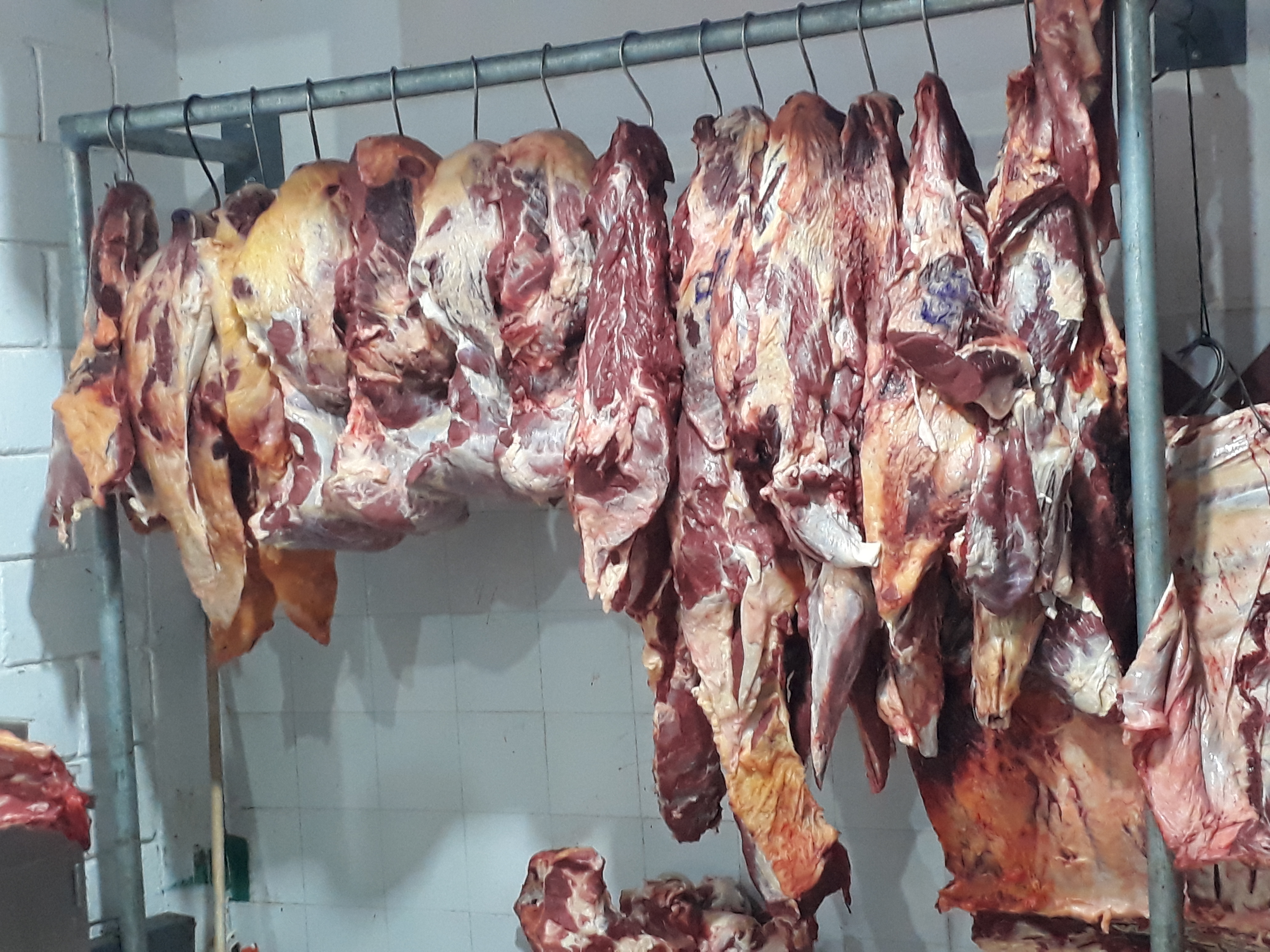 Carne de 1ra