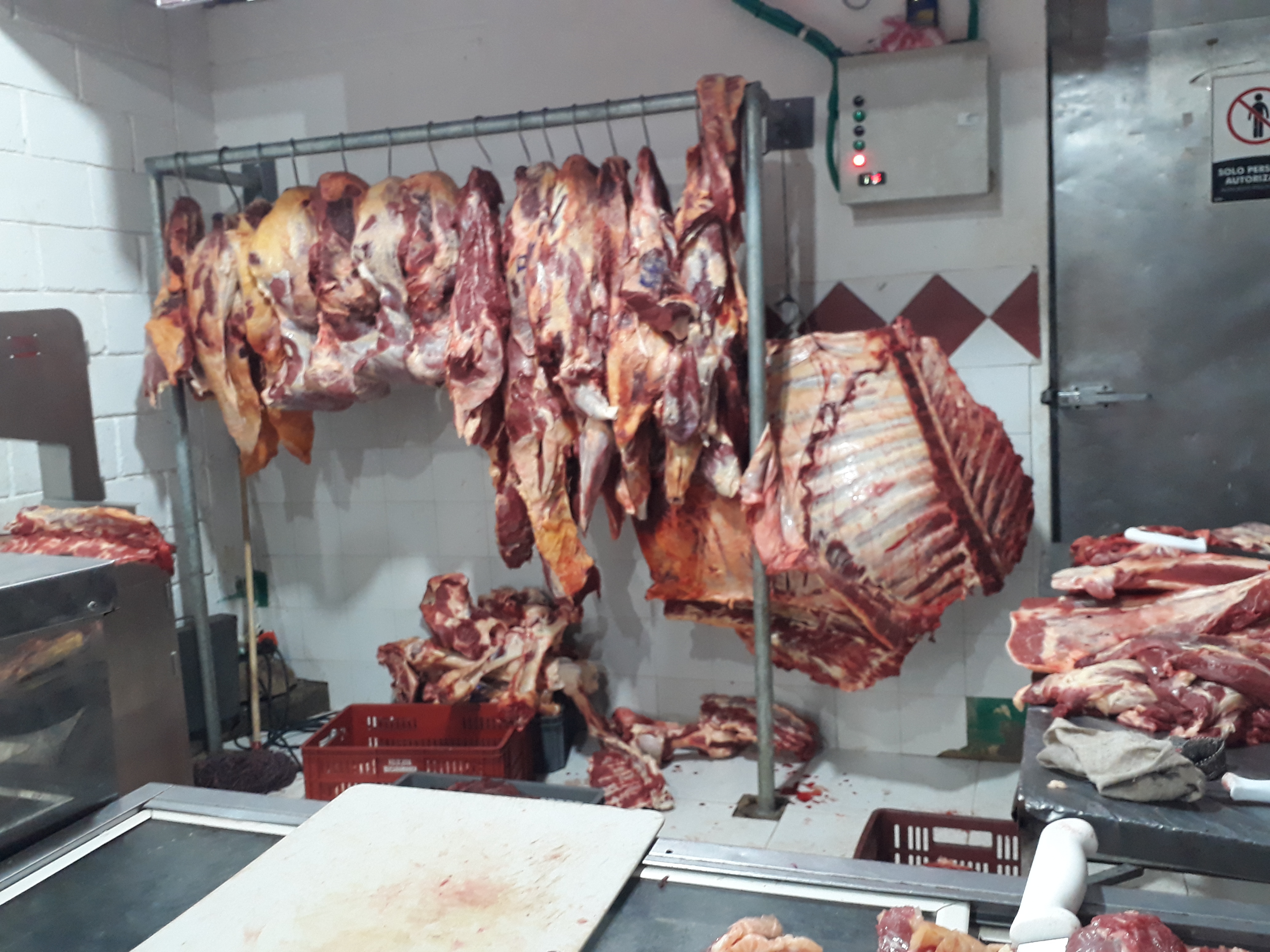 Carne de 1ra de res
