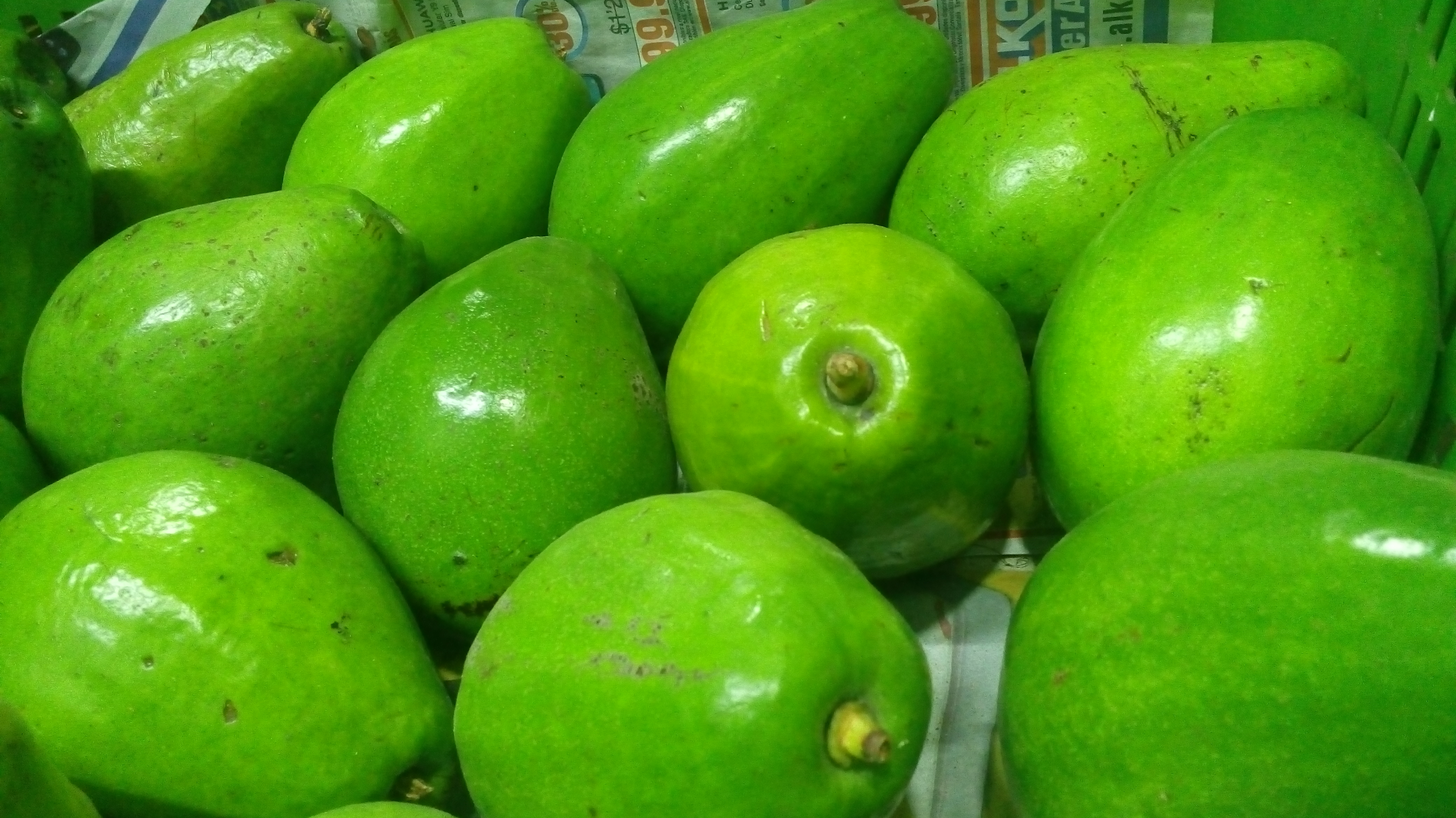 Aguacate