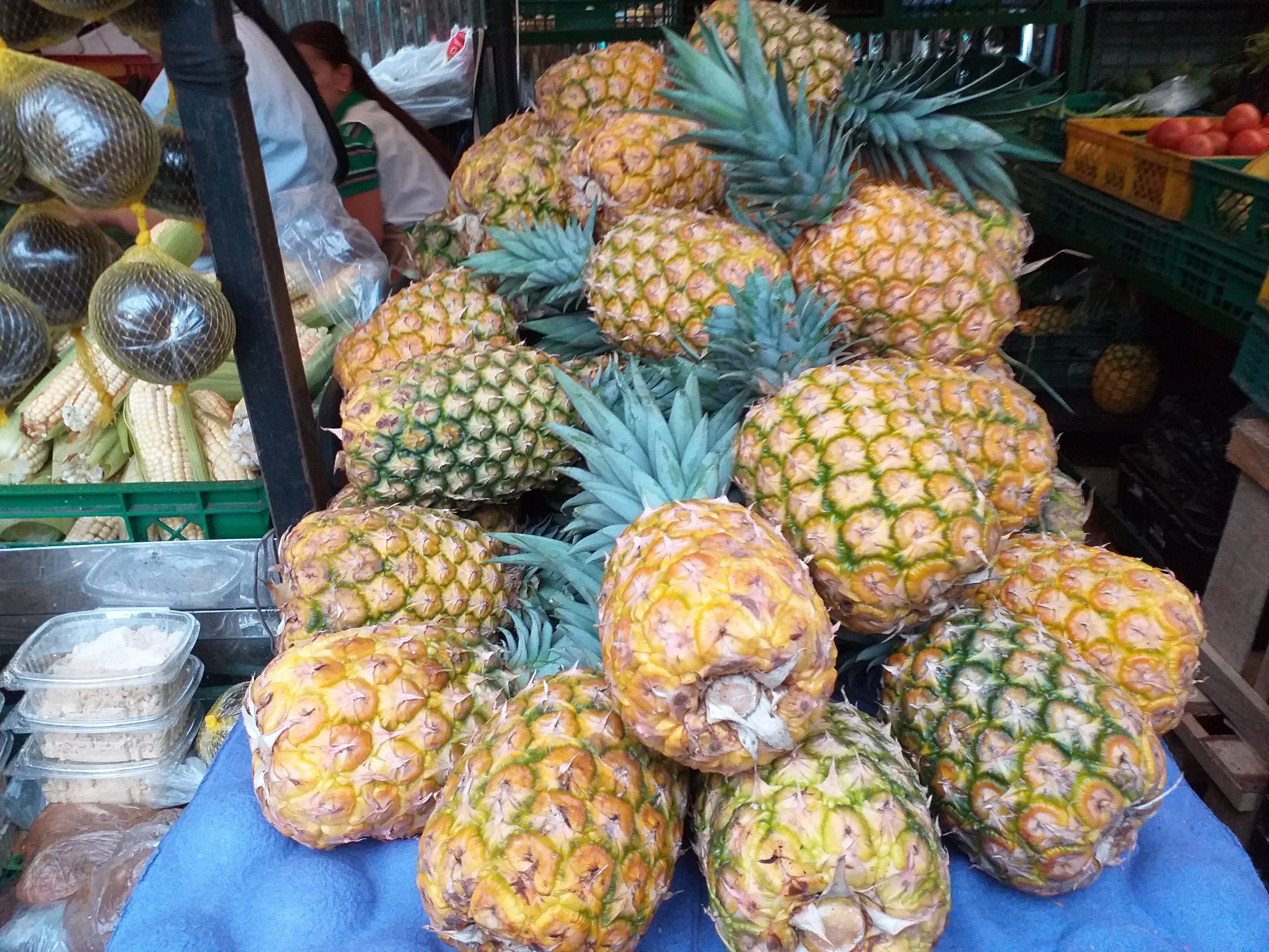 Piña  Oromiel gruesa