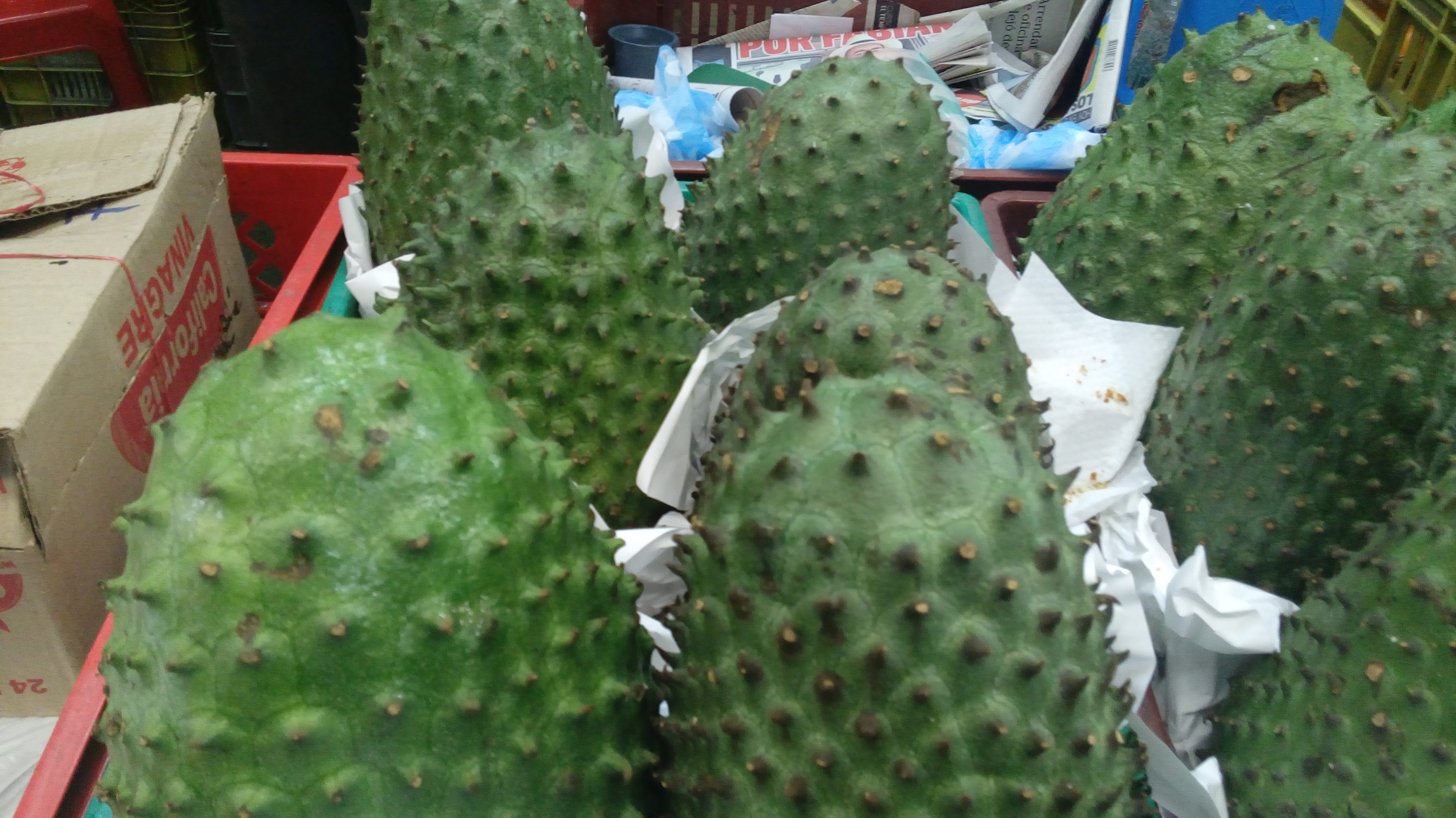 Guanabana