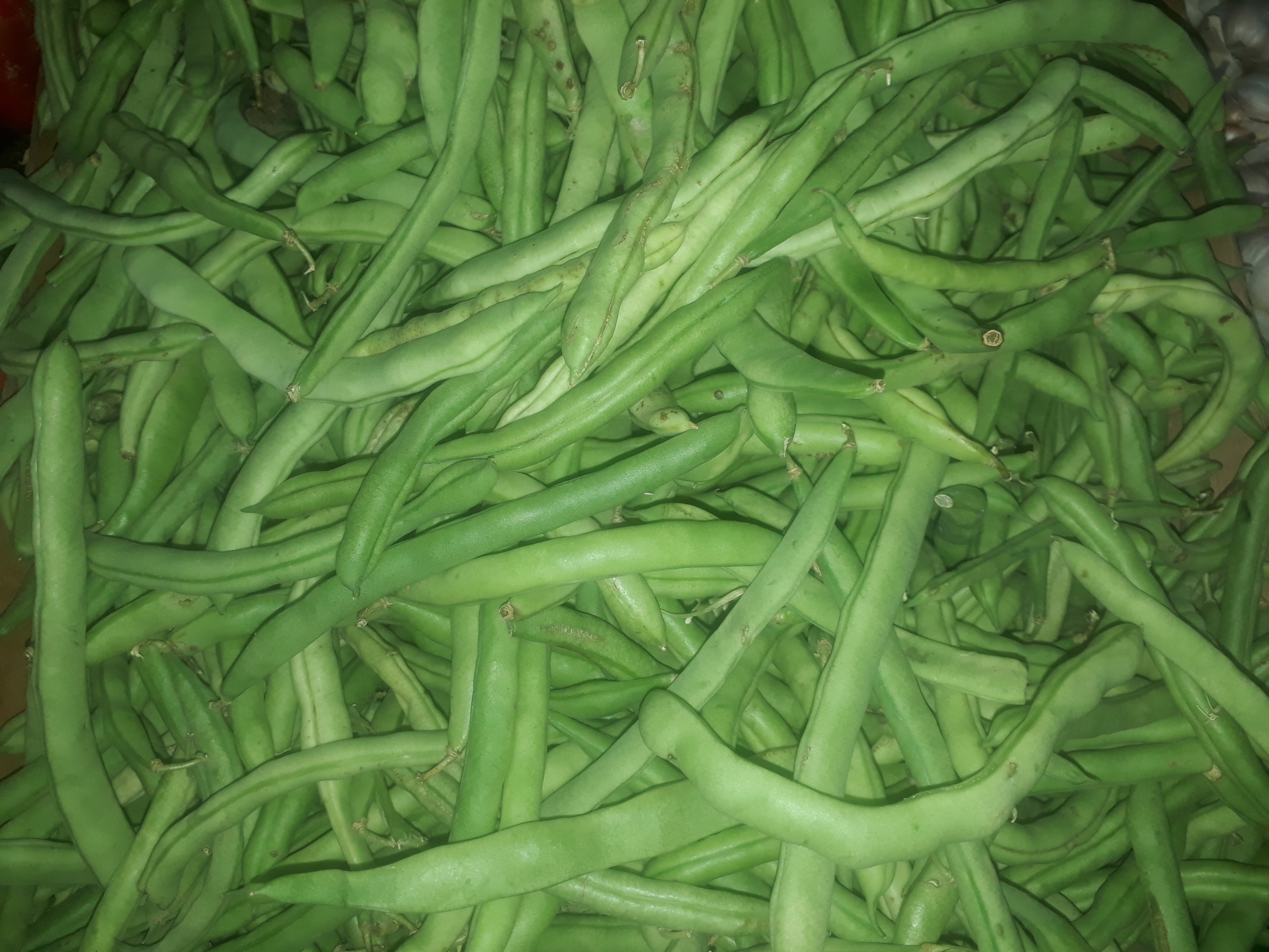 Habichuelas