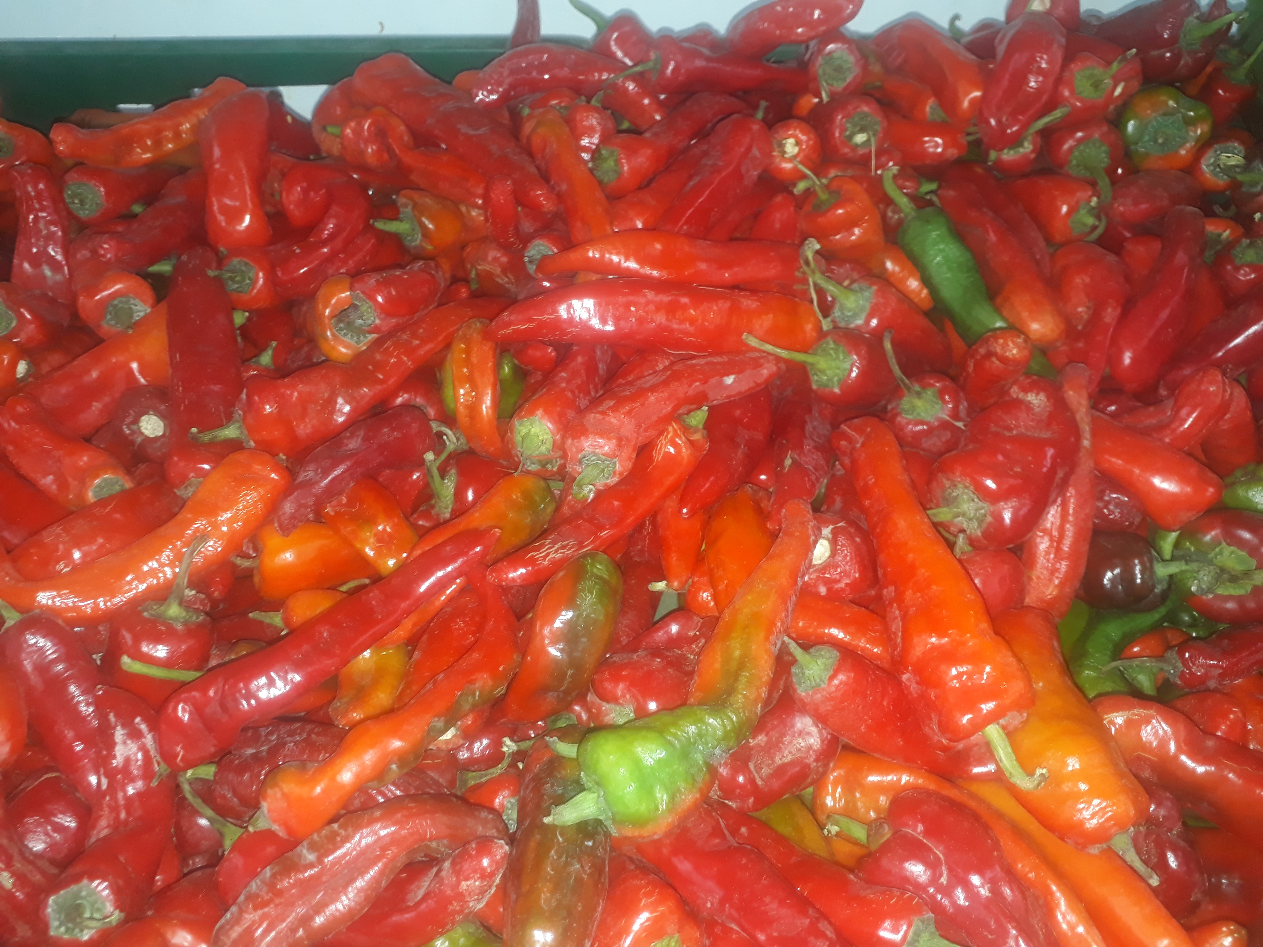 Aji