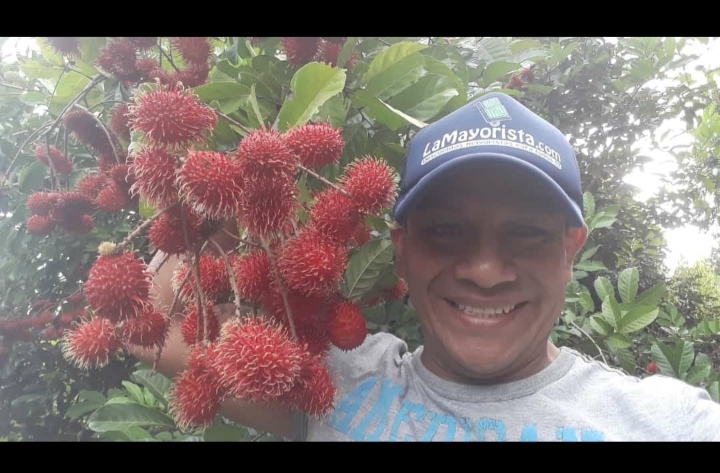 Rambutan