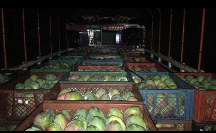 Mango farchi