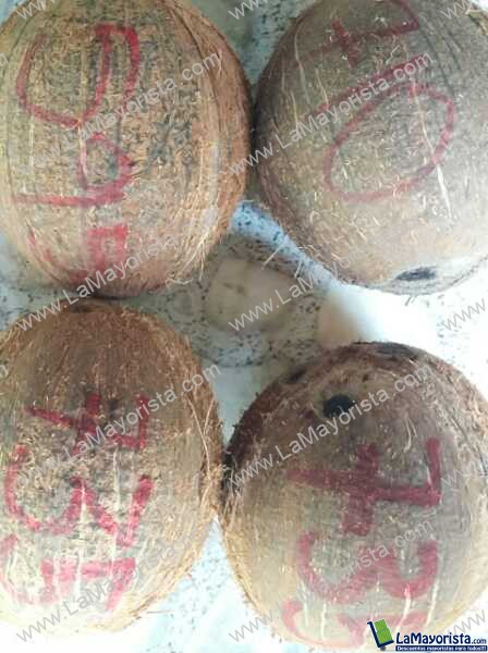 COCOS SECO