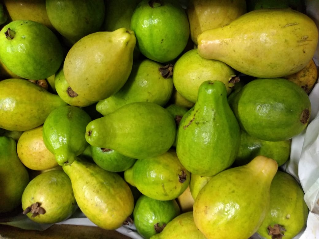 Guayaba gruesa