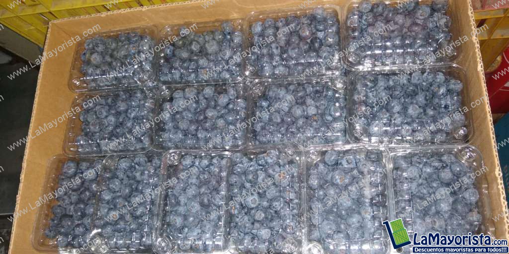 Arandano selecto x 125 gm
