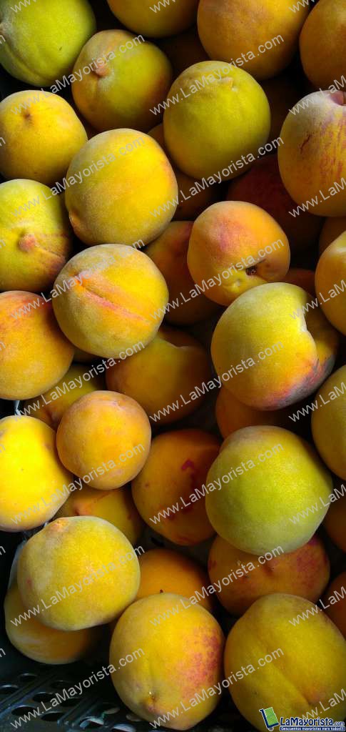 Durazno criollo