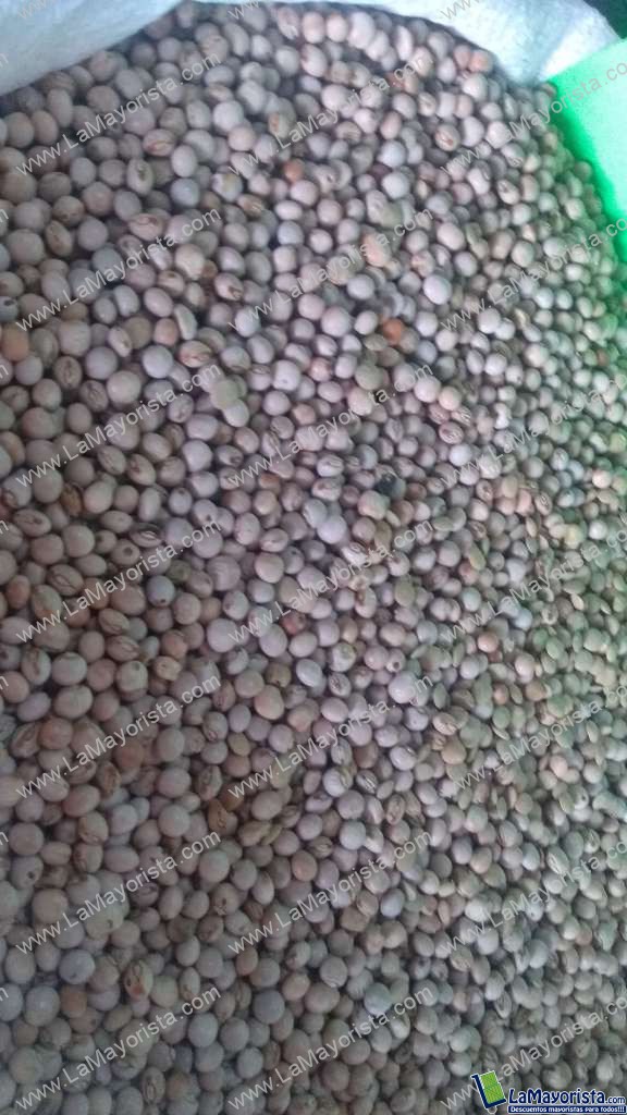 Guandu