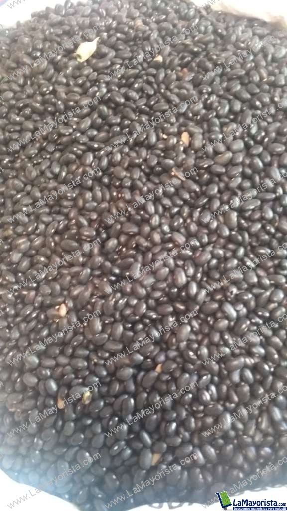 Frijol caraota